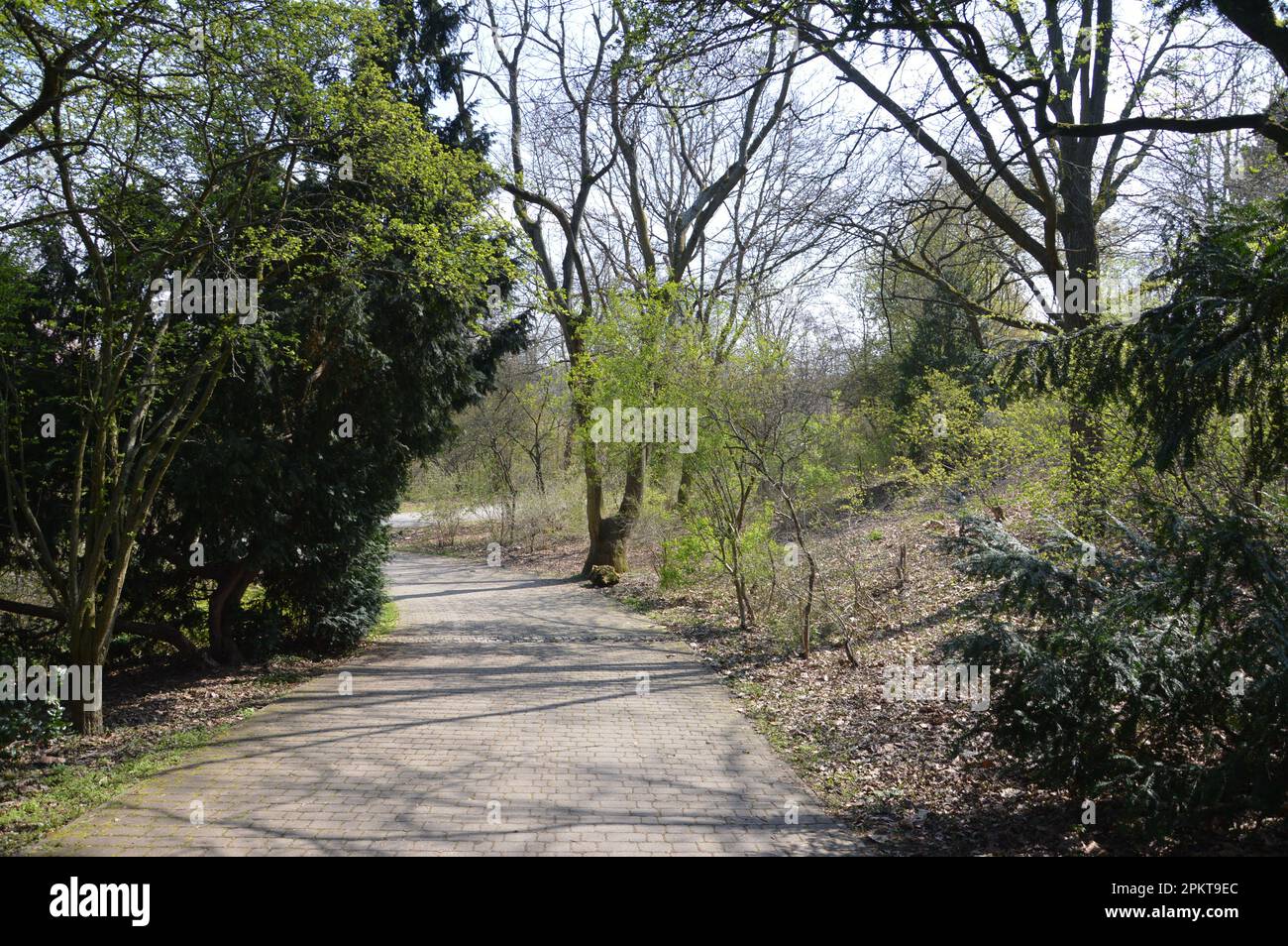 Berlin, Germany - April 9, 2023 - Rixdorfer Höhe in Volkspark Hasenheide in Neukölln. (Photo by Markku Rainer Peltonen) Stock Photo