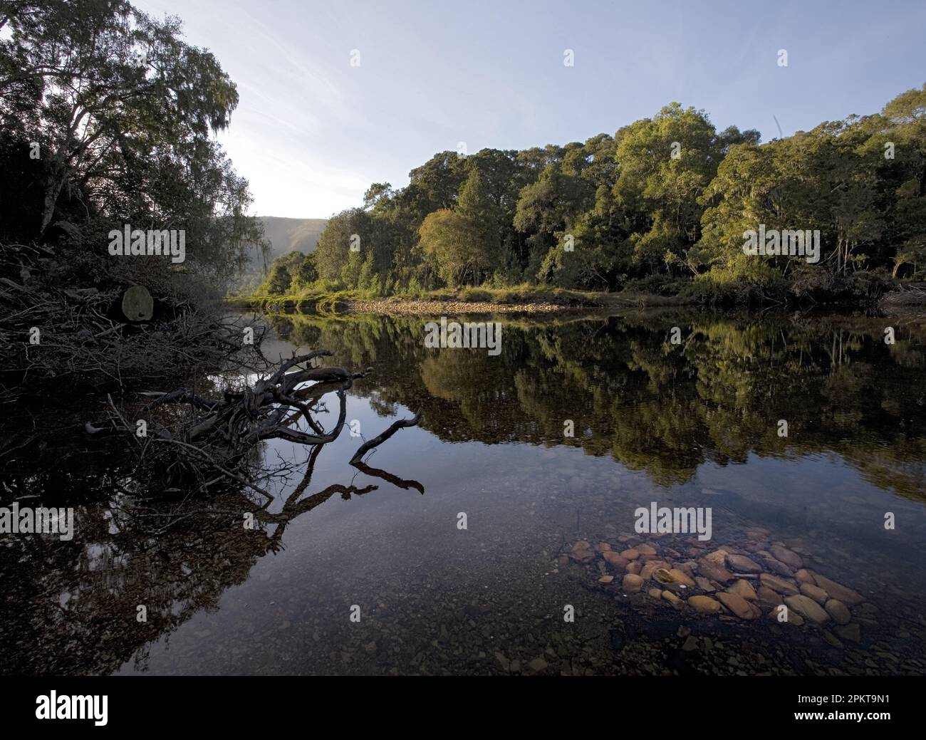 The Grootrivier ( meaning big river in Afrikaans )broadens out before