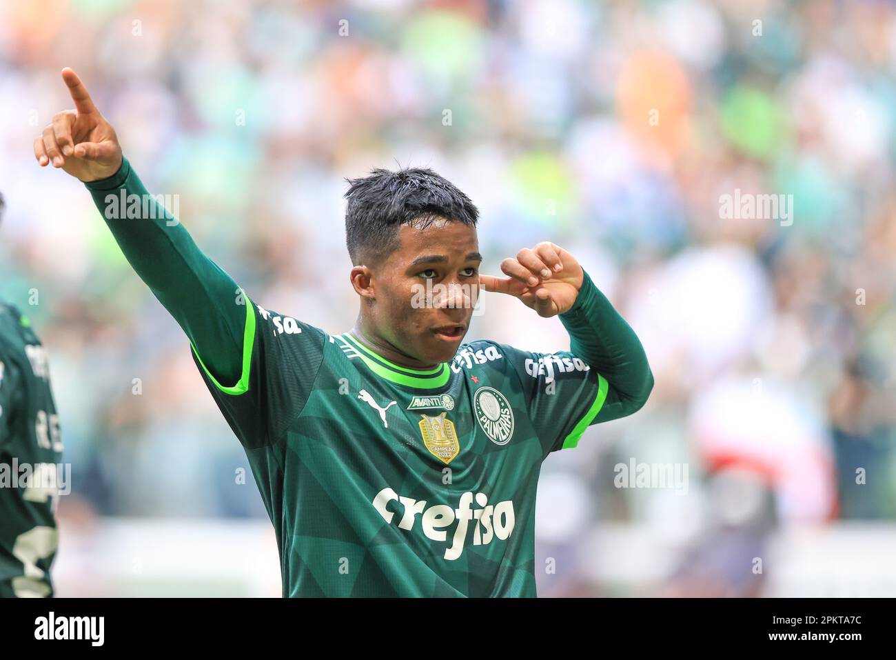 File:Palmeiras-sao-paulo-final-paulista-abr2022-3.png - Wikimedia Commons