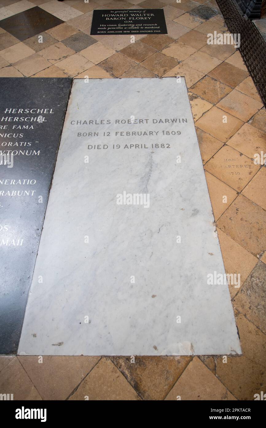 Charles Robert Darwin tomb in Westminster Abbey. The church is World