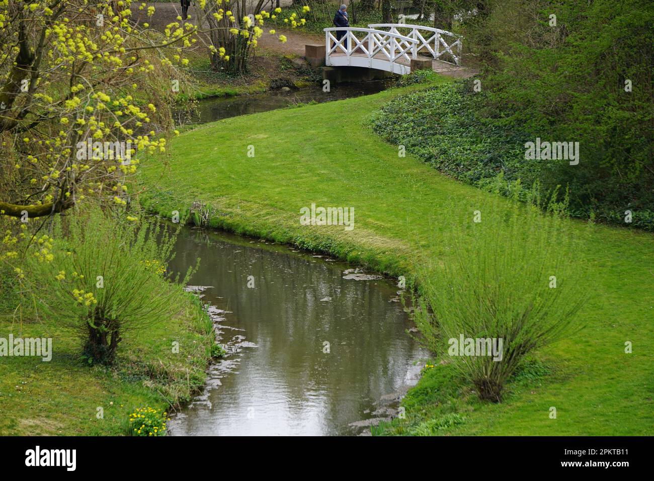 A tranquil body of water surrounded by lush green grass and trees Stock ...