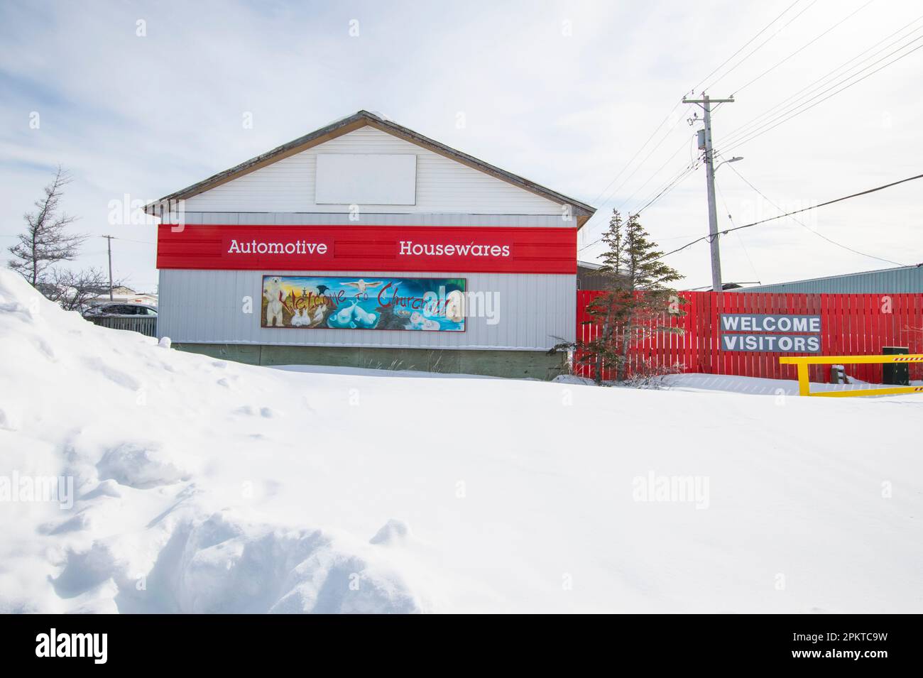 Polar bear and beluga whales mural on Home Hardware store in Churchill