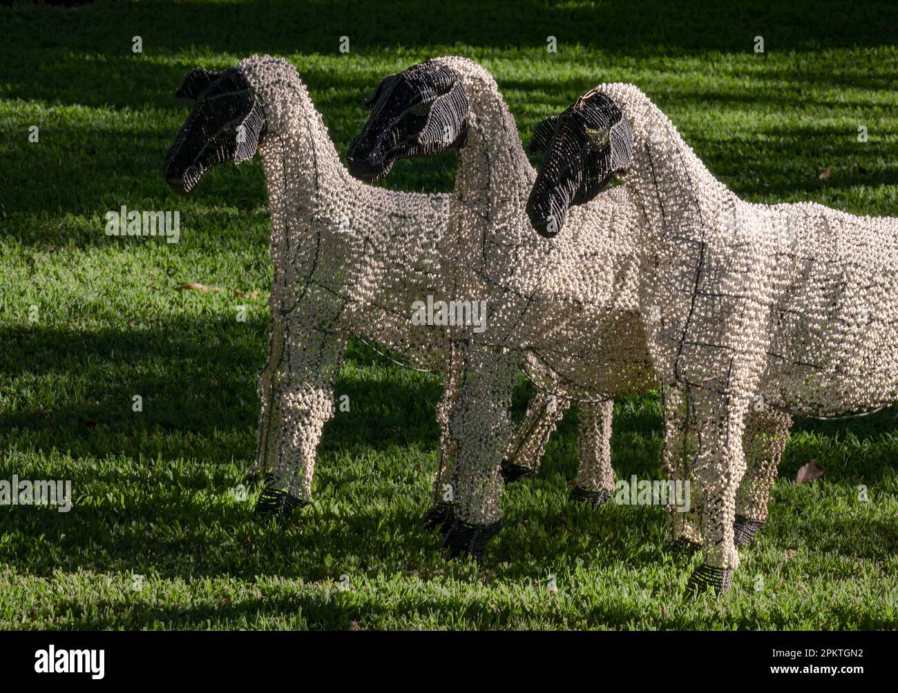 Three ‘Dorper’ goats, made from Zulu beads, stand parade in a garden in Utrecht. Stock Photo