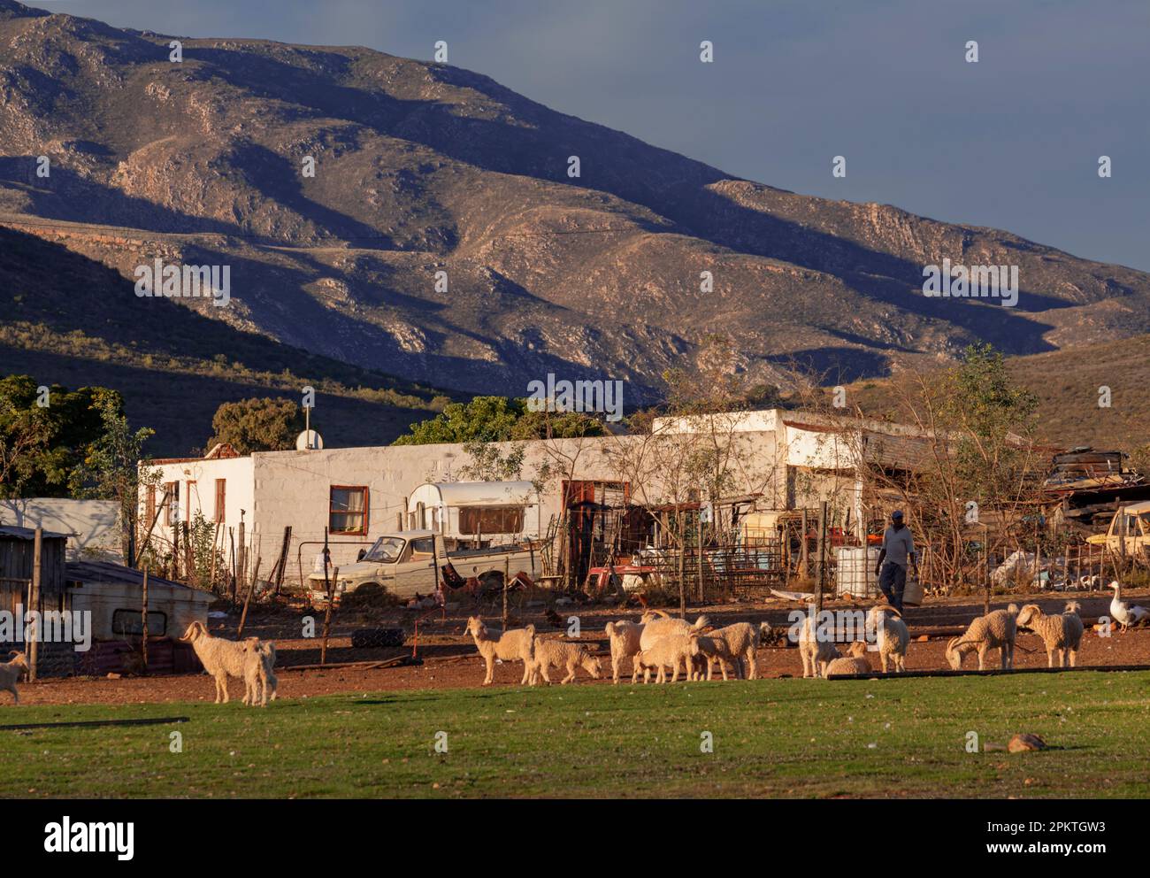 The last afternoon light falls across the Steward Family farm outside Uniondale. The Stewards came to South Africa with the 1820 British Settlers. Stock Photo