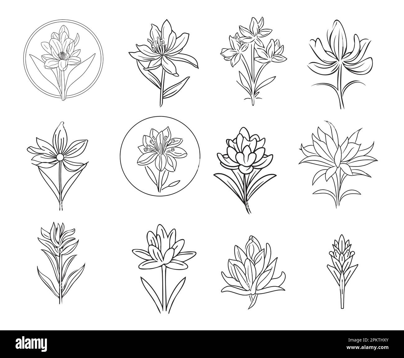 Tuberose logo sketch hand drawn in doodle style illustration Stock