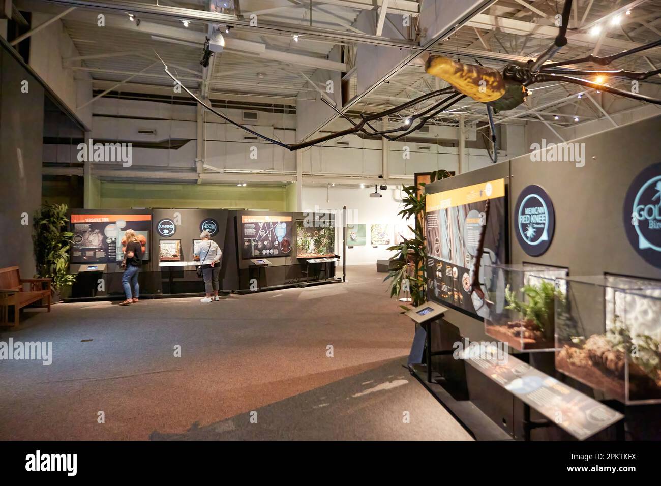 Gainesville, FL, USA. April 8, 2023 The Florida Museum of Natural