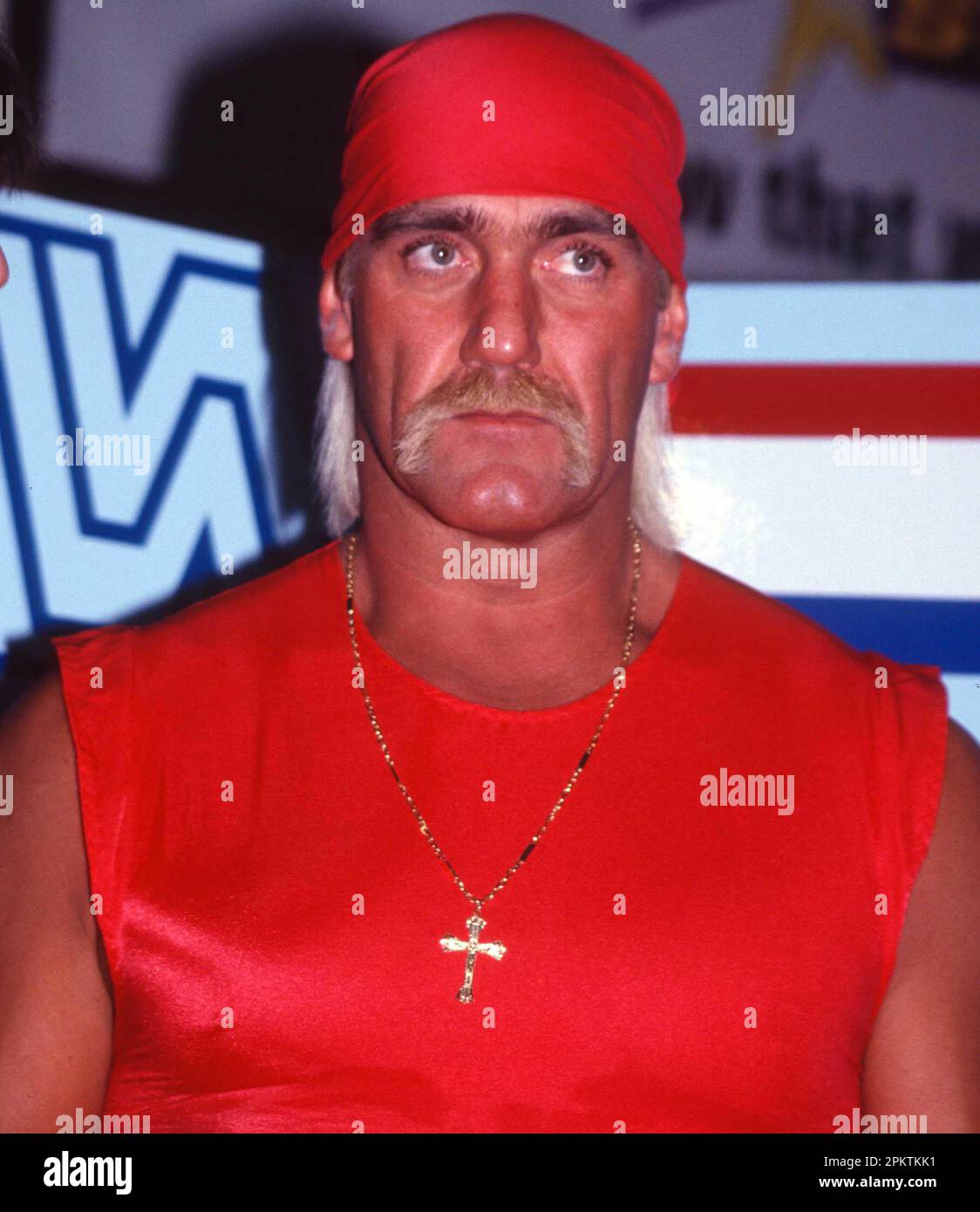 1991 Hulk Hogan Photo by John Barrett/PHOTOlink Stock Photo - Alamy