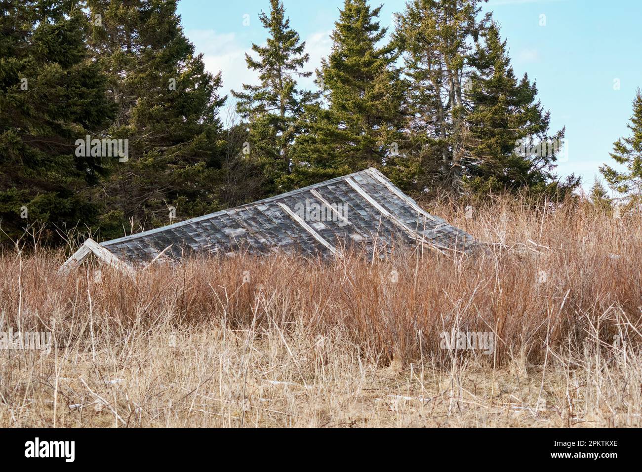 Abandoned building that has collapsed left to the elements near Gabarus Nova Scotia. Stock Photo