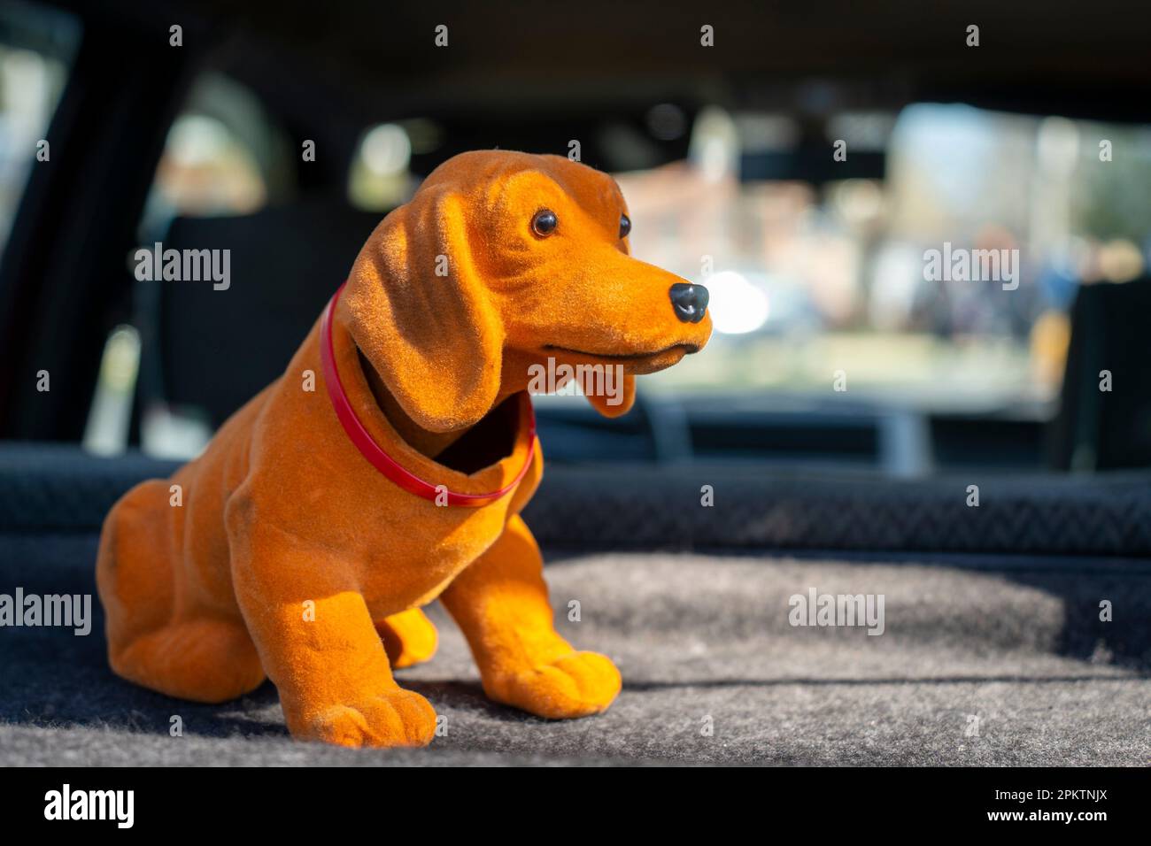 Toy dachshund hi-res stock photography and images - Page 3 - Alamy