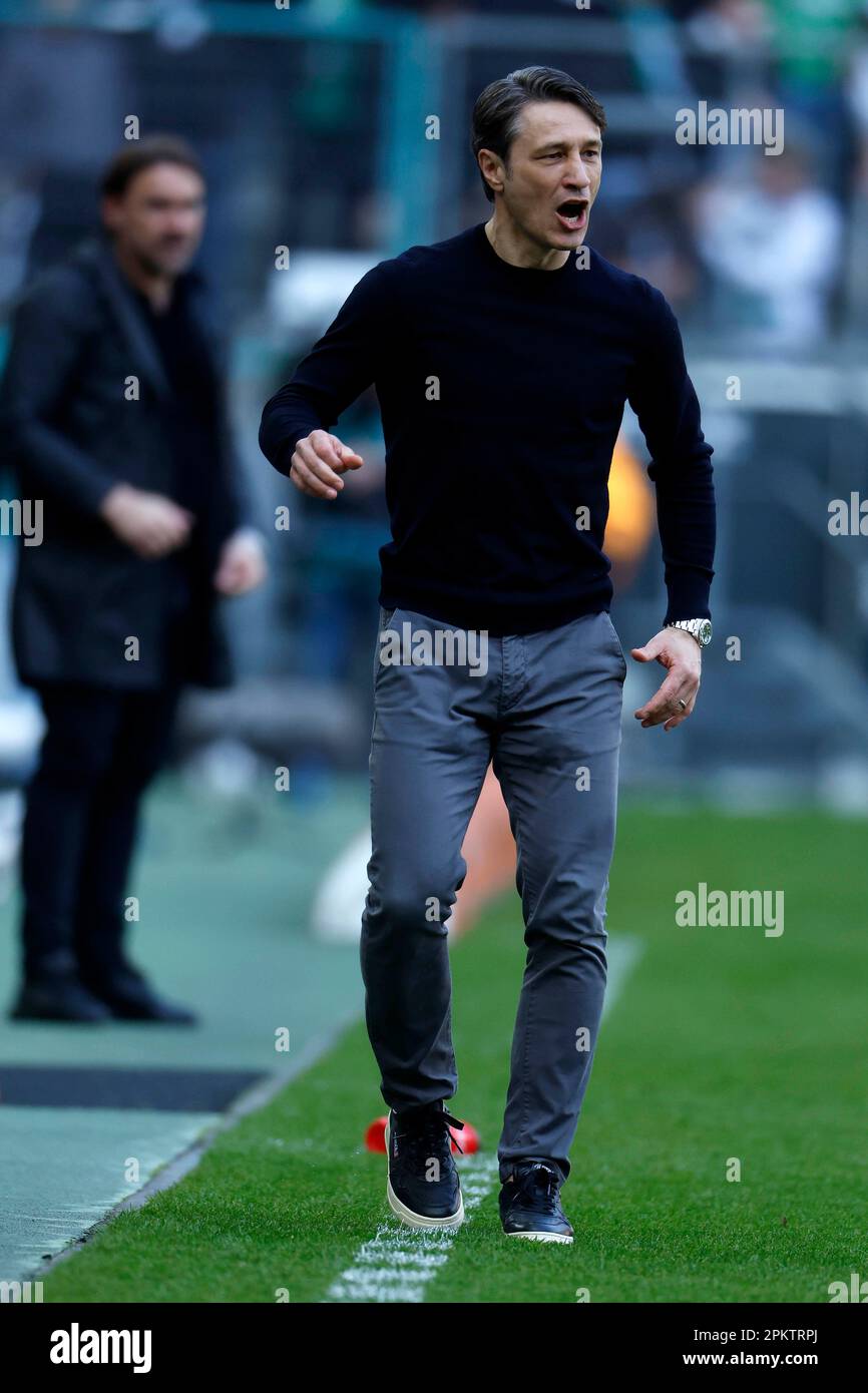 Mönchengladbach, Deutschland, 1. Fussball Bundesliga, 27.Spieltag Borussia Mönchengladbach VFL Mönchengladbach, Deutschland, 1. Fussball Bundesliga, 27.Spieltag Borussia Mönchengladbach VFL