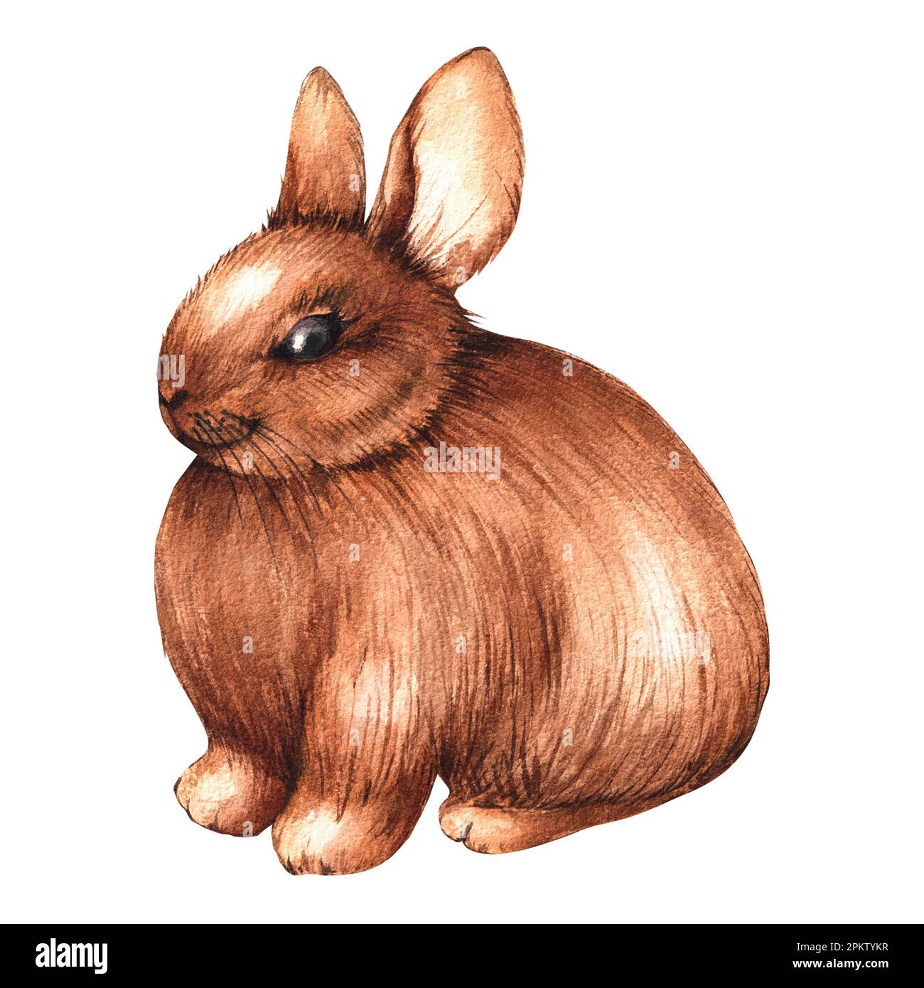 Watercolor brown rabbit on a white background. Isolated illustration ...