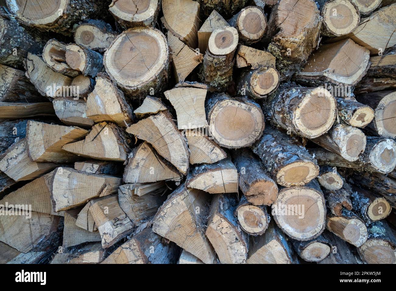 Firewood wood pile stacked triangle hi-res stock photography and images ...