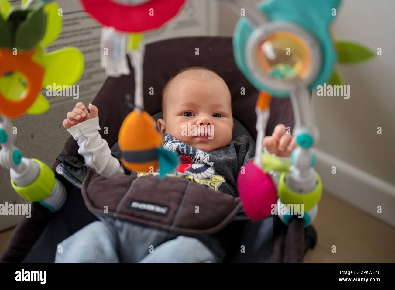 Portrait of newborn baby girl in baby seat Stock Photo Alamy