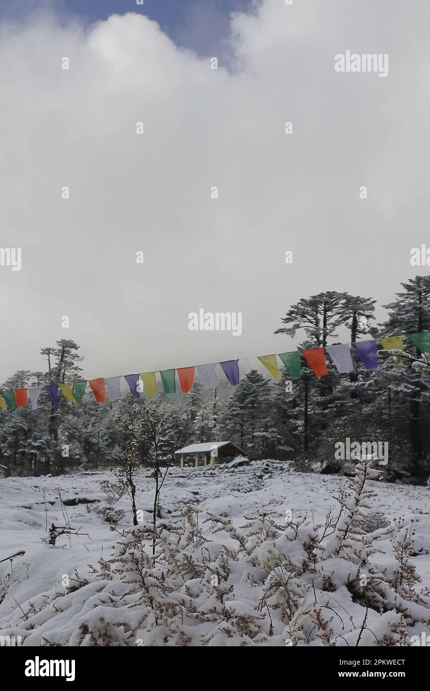 snow cavered yumthang valley in the winter season, beautiful yumthang