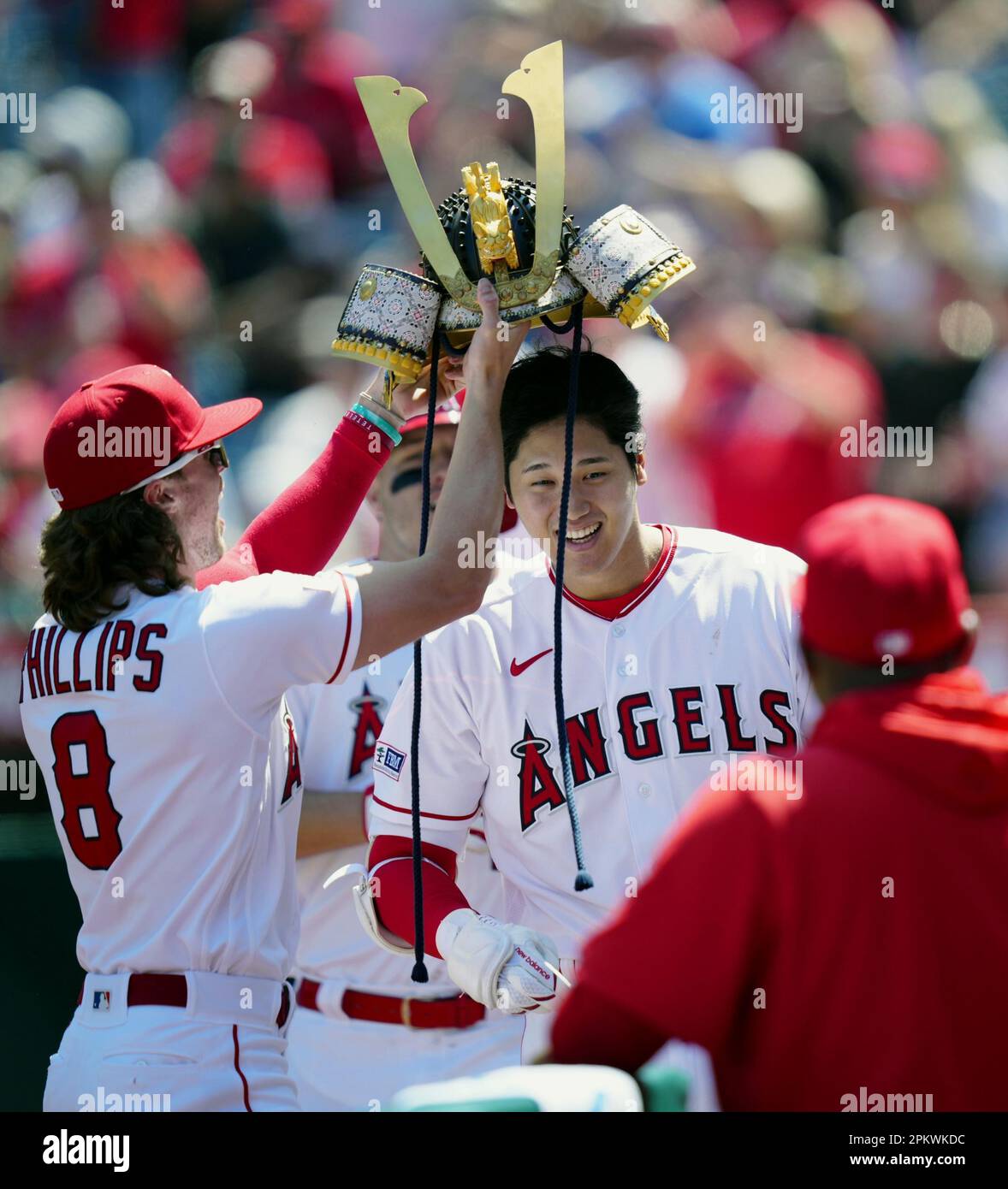 Brett Phillips (L) places a samurai warrior helmet on Los Angeles Angels  teammate Shohei Ohtani to celebrate his home run in the third inning of a  baseball game against the Toronto Blue