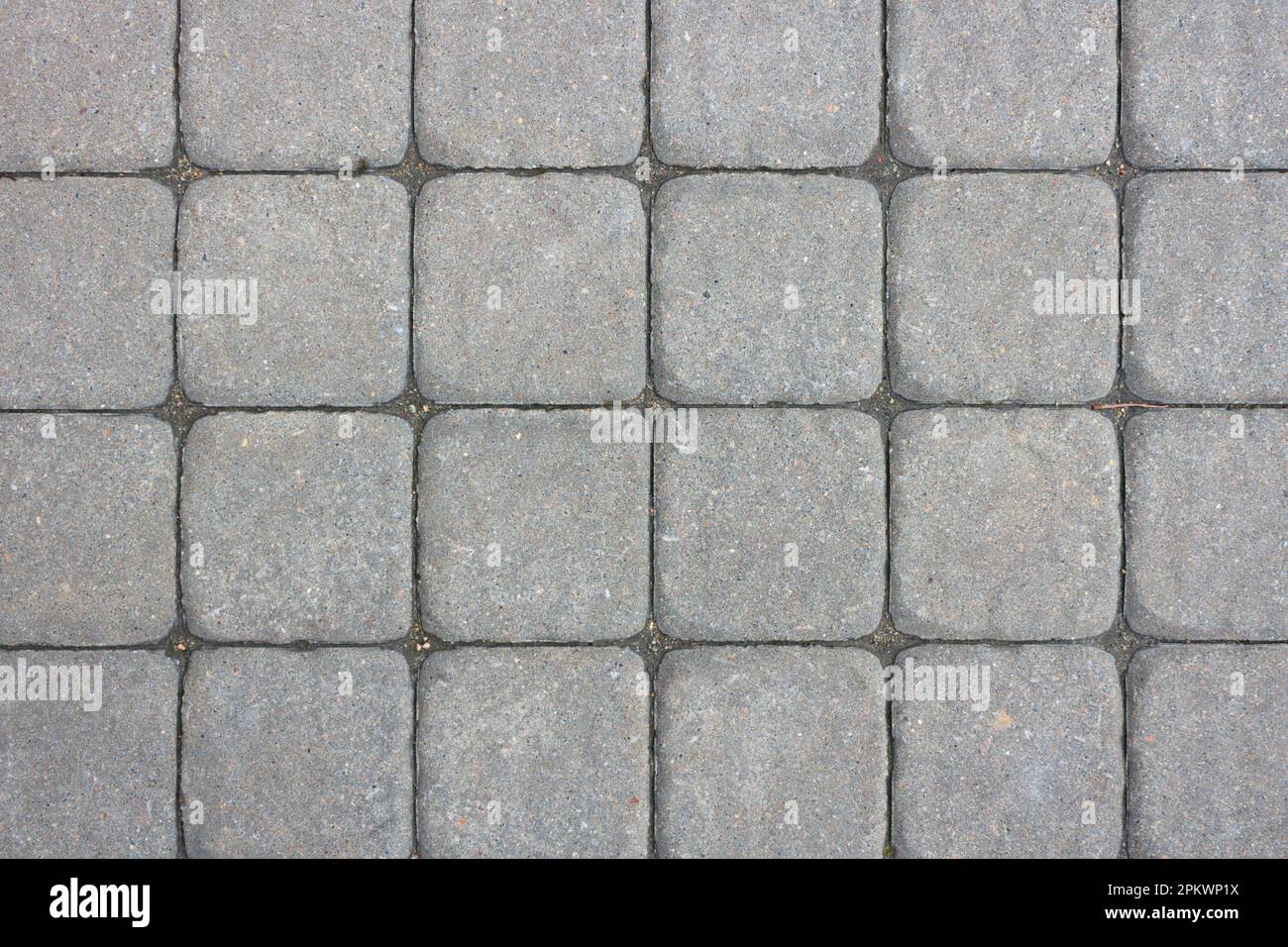 Pavement gray square tiles made of concrete with rounded edges as a background. Stock Photo