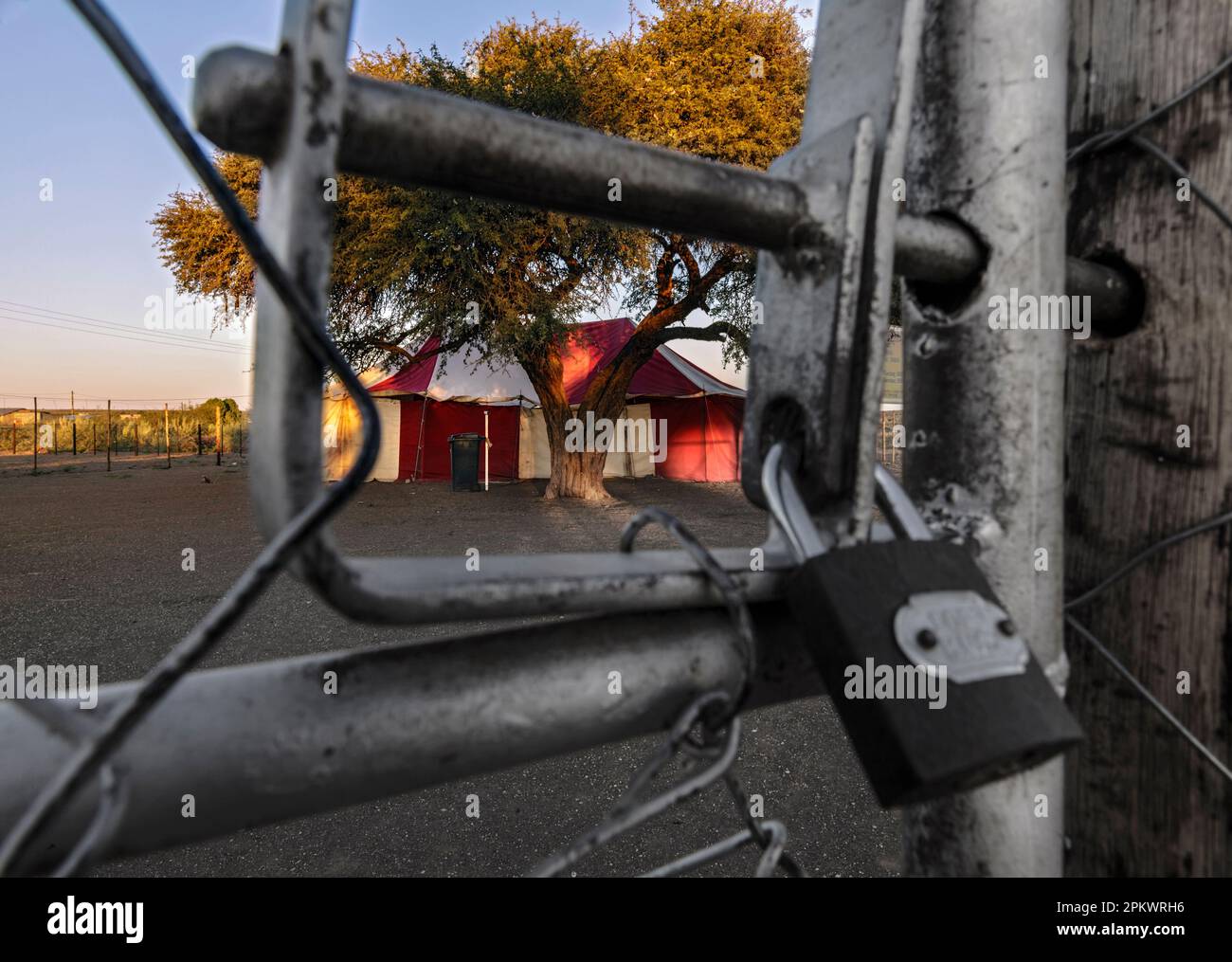 The tent of the Golden Star Ministries stands beneath a Acacia Camel Thorn tree in the village of Mier in South Africa. Stock Photo