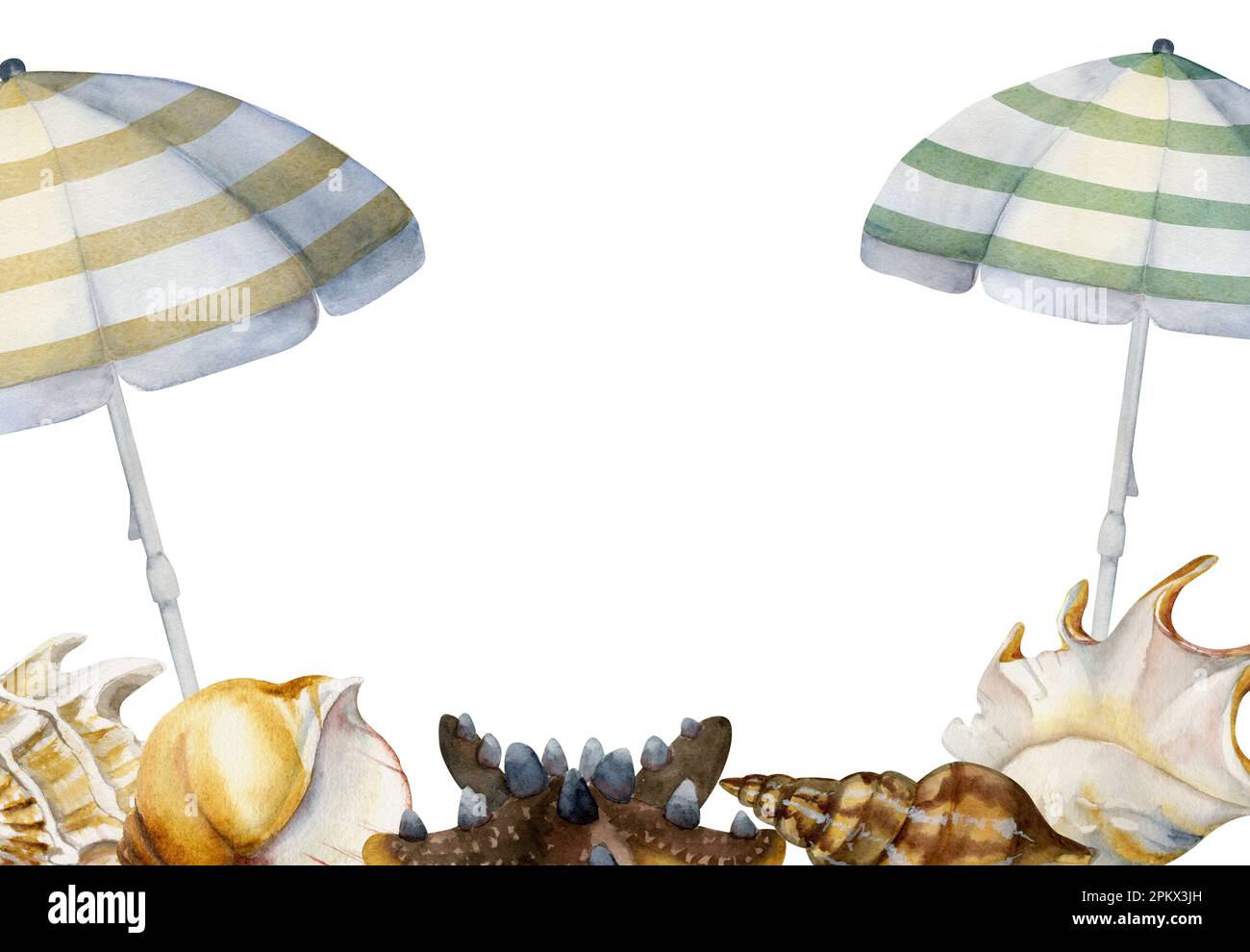 Hand drawn watercolor composition. Striped beach umbrellas, sea shells ...