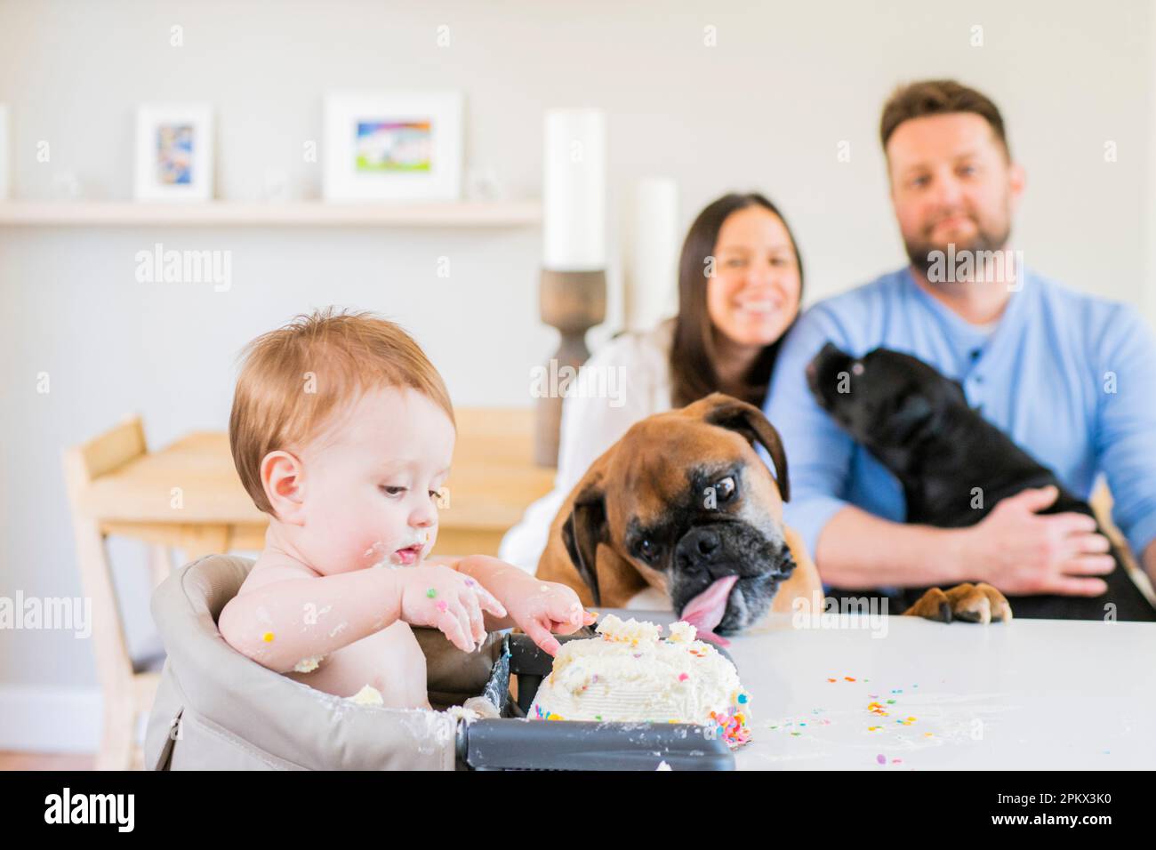A Baby's first year celebration Stock Photo