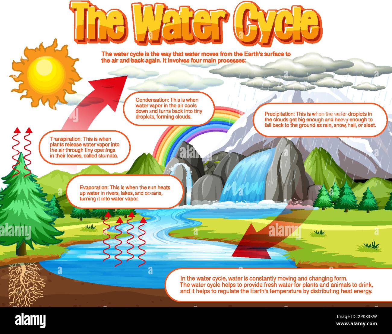 The water cycle diagram for science education illustration Stock Vector