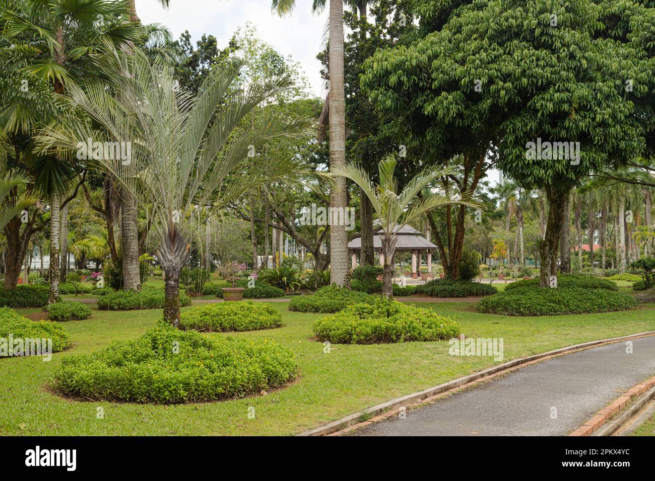 Mahlah Top - Palm Garden