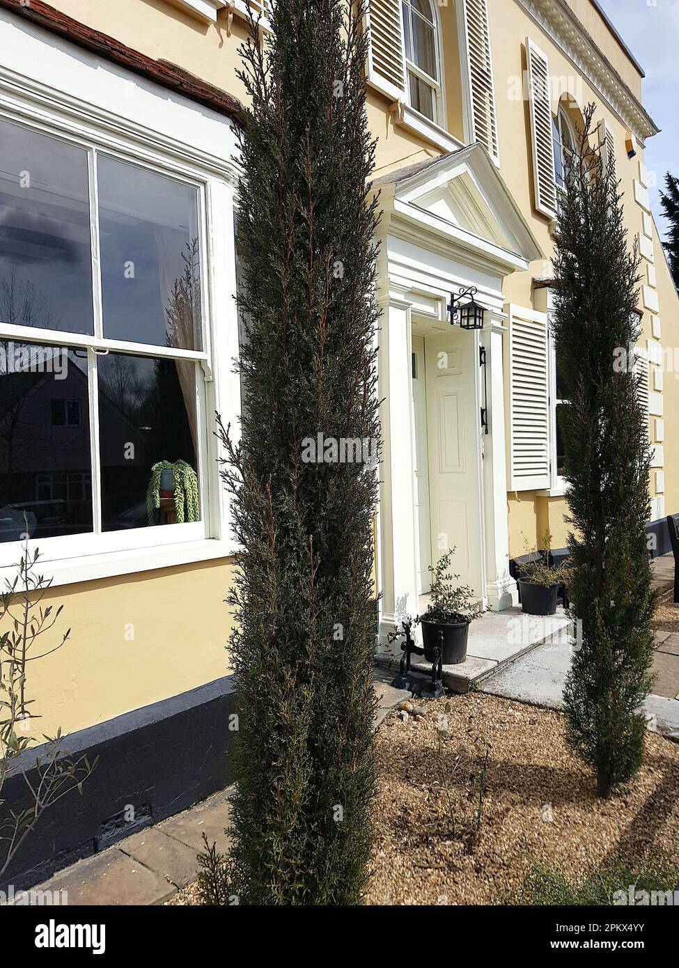 Front of a traditional style house with cypress trees. Stock Photo