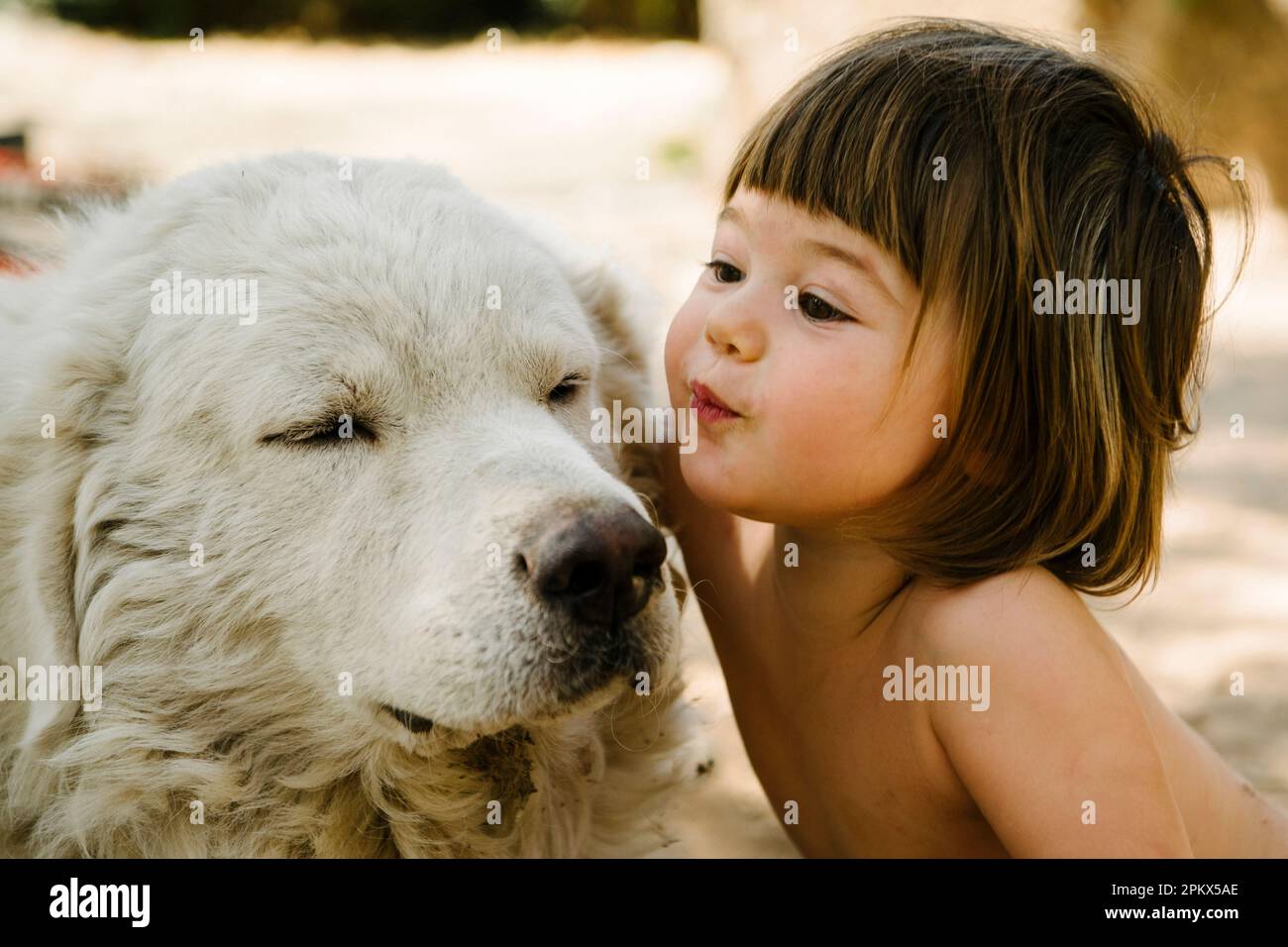 Sweet Toddler affectionately kisses old white dog Stock Photo