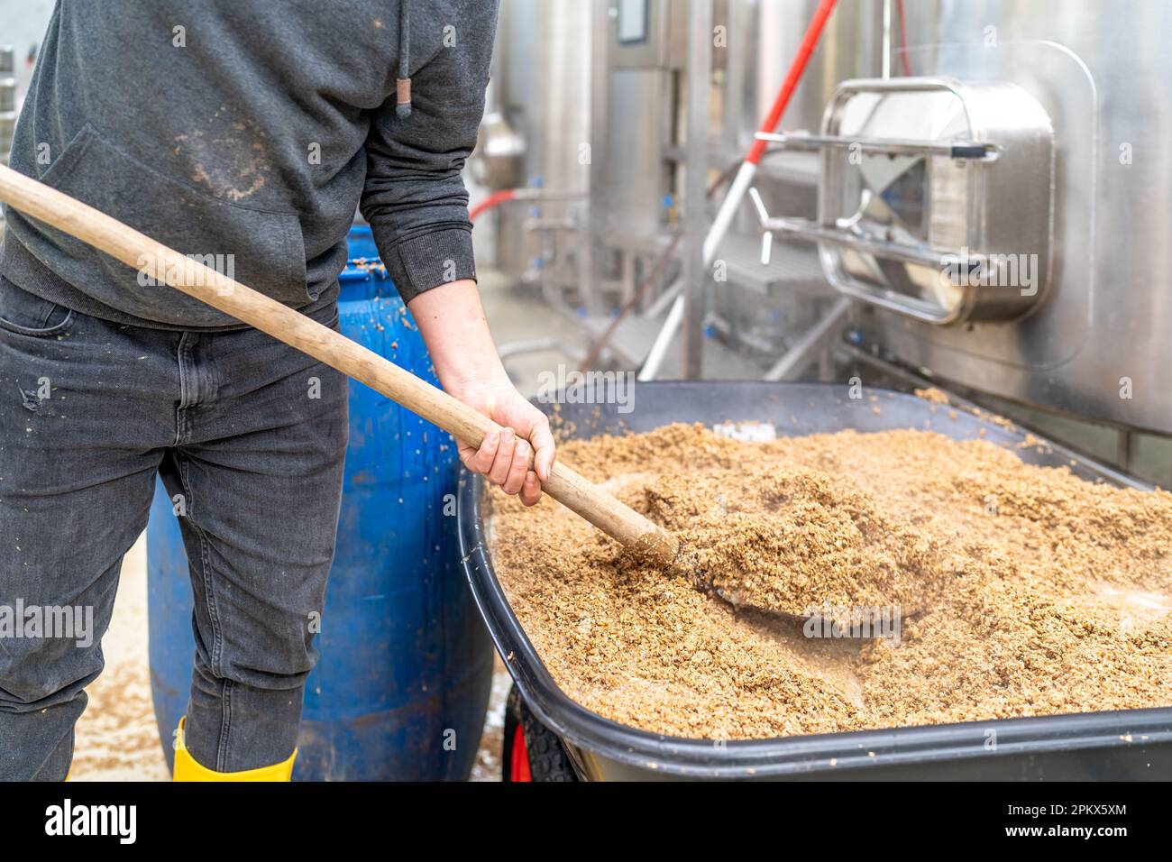 disposal of residual malt after brewing beer in the brewery Stock Photo