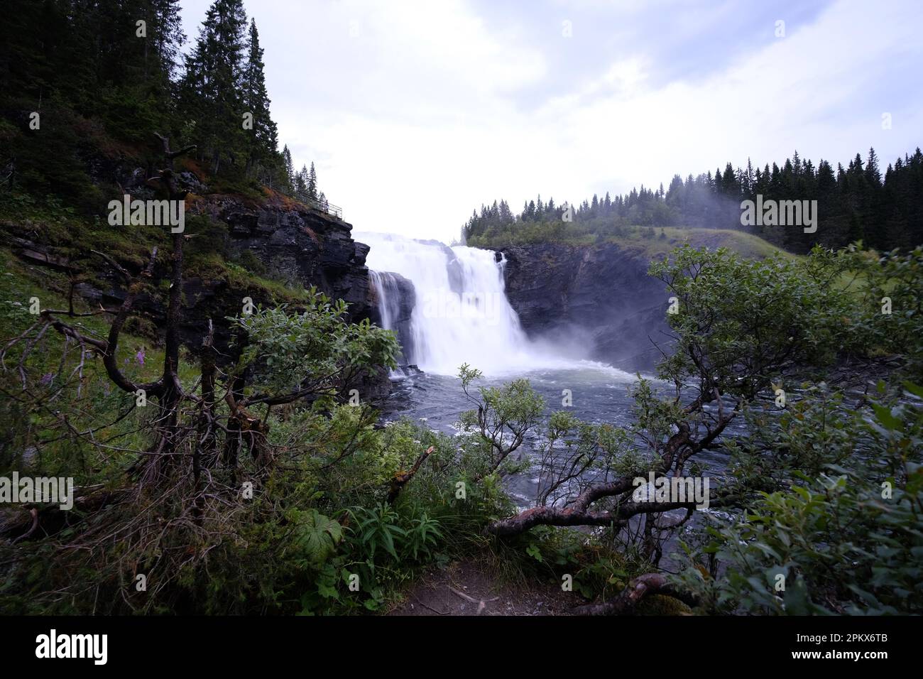 A lush green forest with a majestic waterfall cascading over rocks into ...