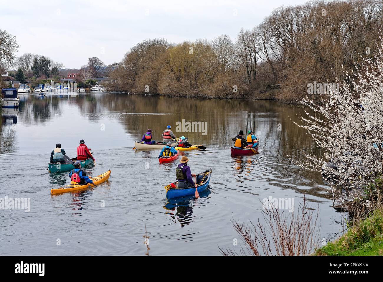 A group of elderly people canoeing on the River Thames at Laleham