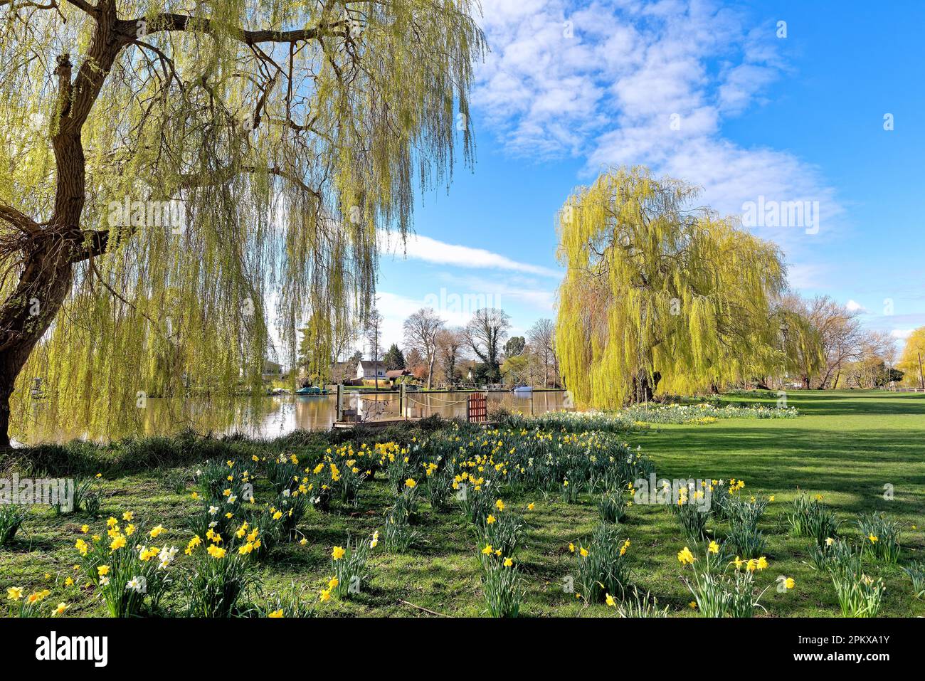 A sunny spring day by the River Thames at Shepperton, Surrey England UK Stock Photo