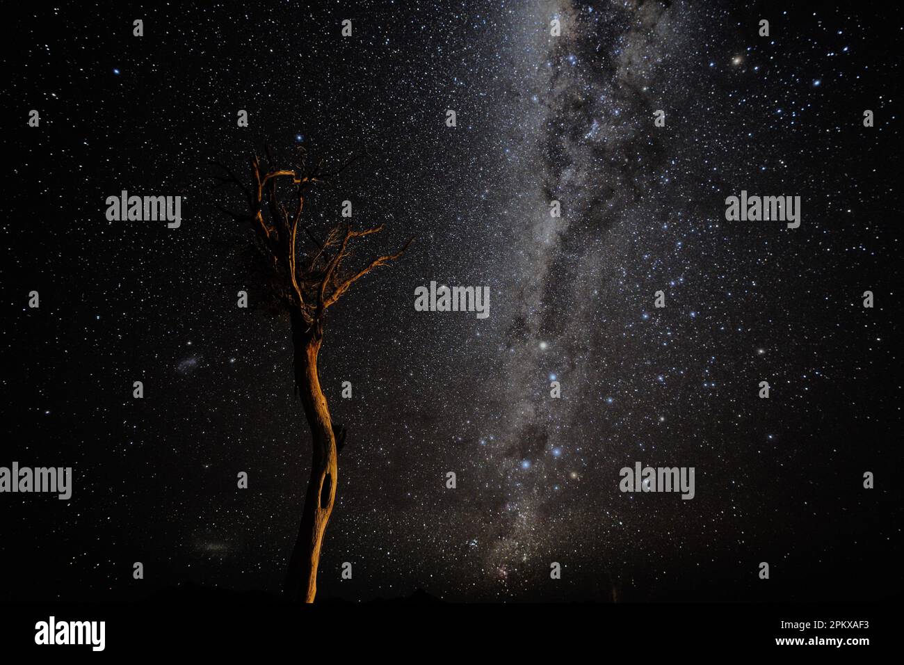 Night Sky and Milky Way in Namib Desert Stock Photo