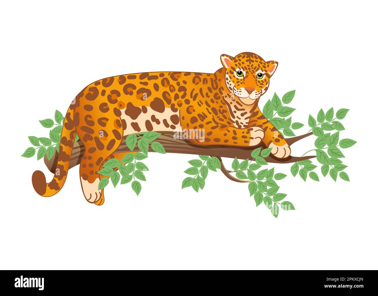 Vector illustration of a leopard or jaguar lying on a tree in a cartoon style Stock Vector