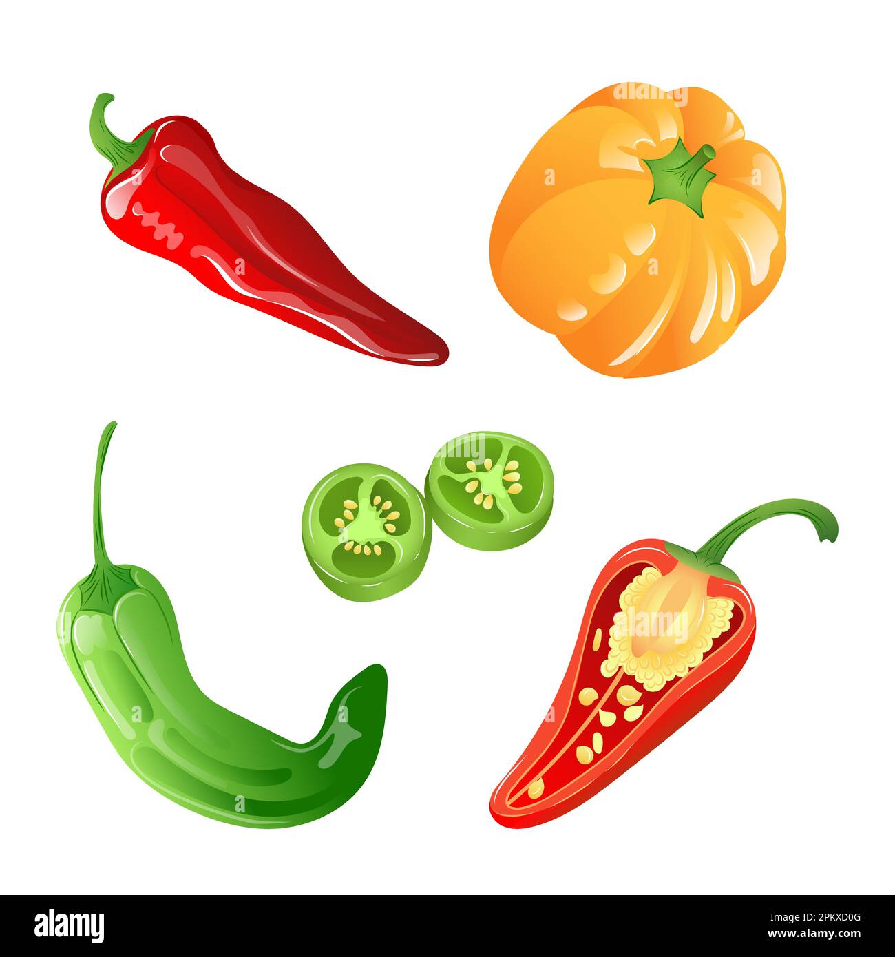 A set of illustrations of different types of peppers in bright colours