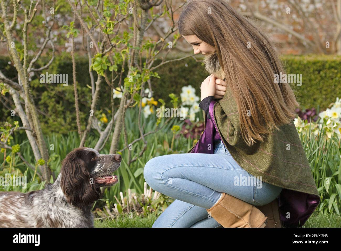 young women training her cocker spaniel Stock Photo