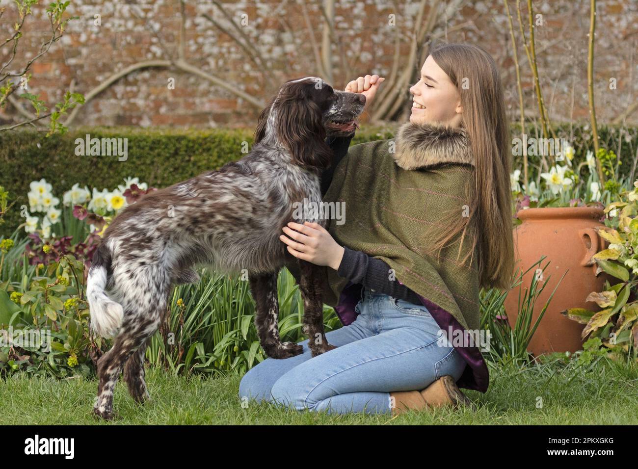 young girl teaching her dog Stock Photo