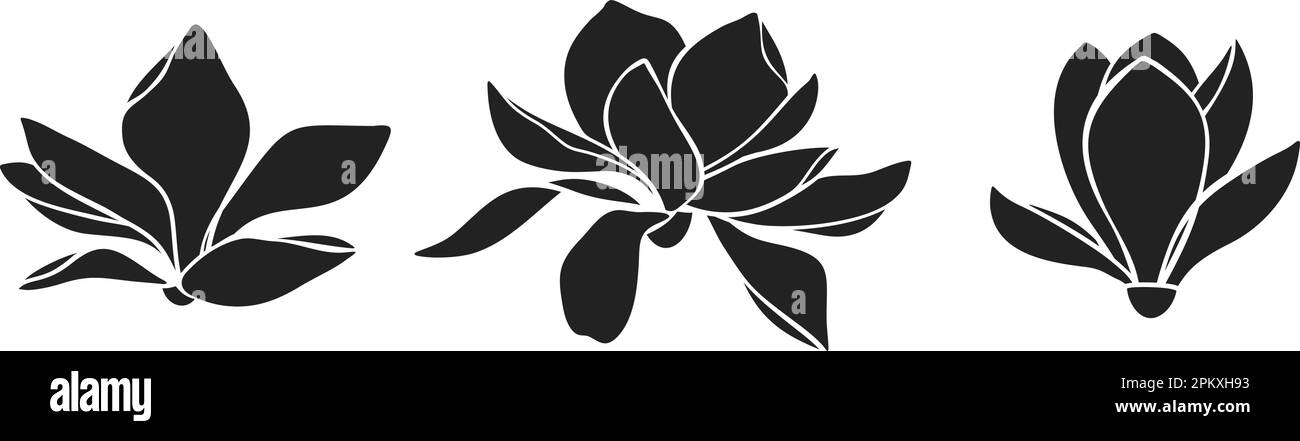 Magnolia flowers. Set of magnolia flower black silhouettes isolated on