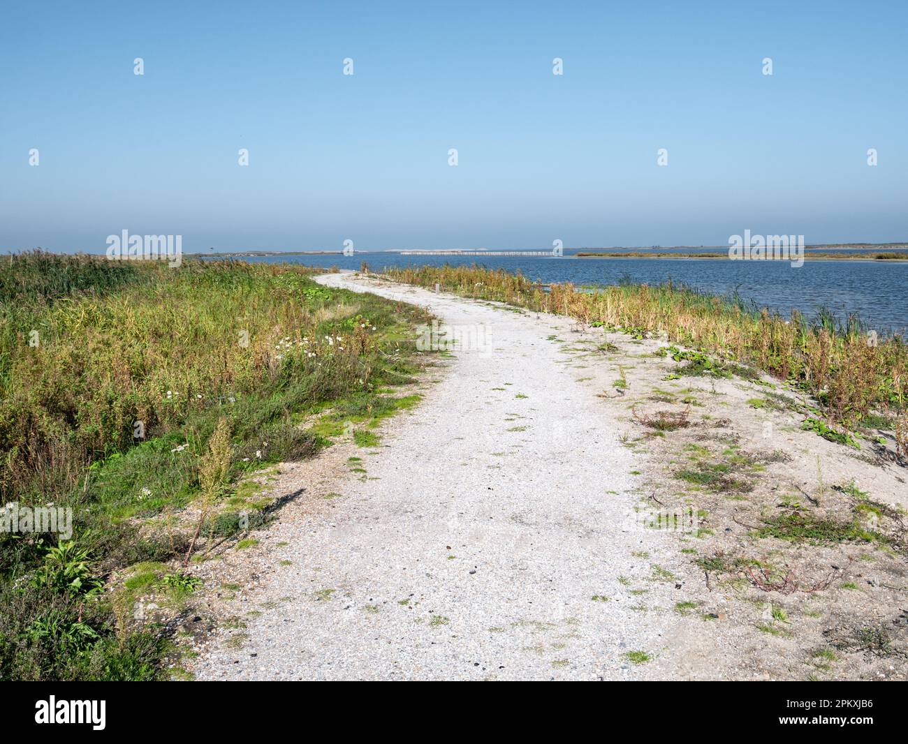 Footpath of nature hiking trail through wetlands of Marker Wadden island, Netherlands Stock Photo