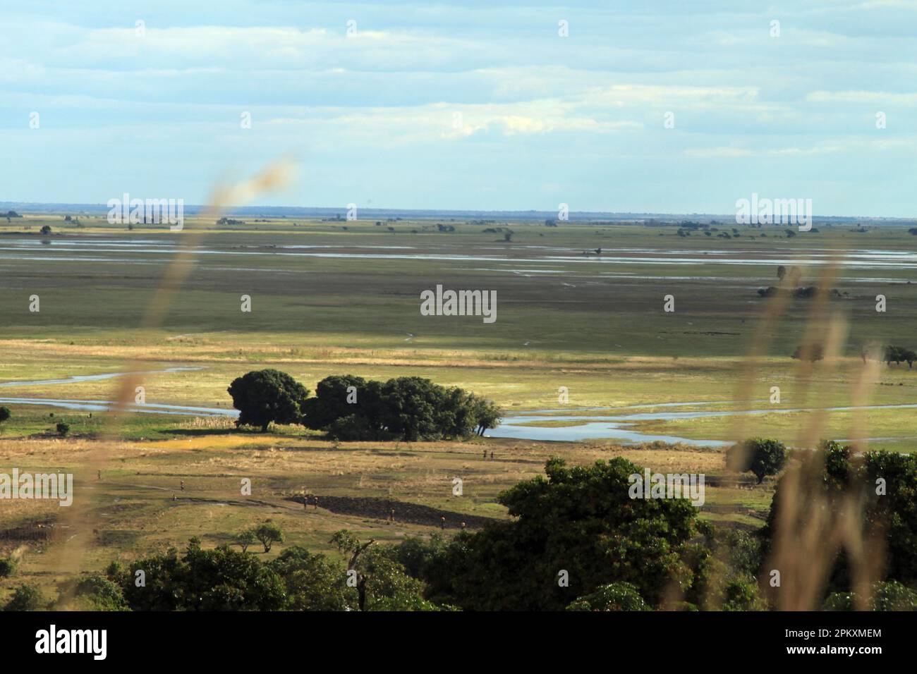 Mongu, flood plain, Barotse flood plain, Zambezi, Western Province of Zambia Stock Photo