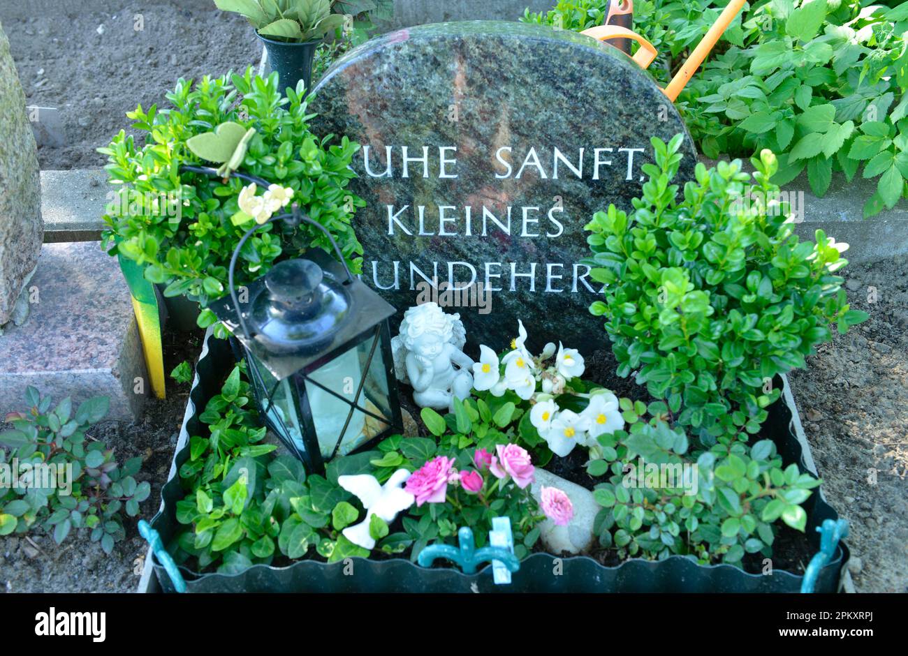 Pet Cemetery, Hausvaterweg, Falkenberg, Lichtenberg, Berlin, Germany Stock Photo