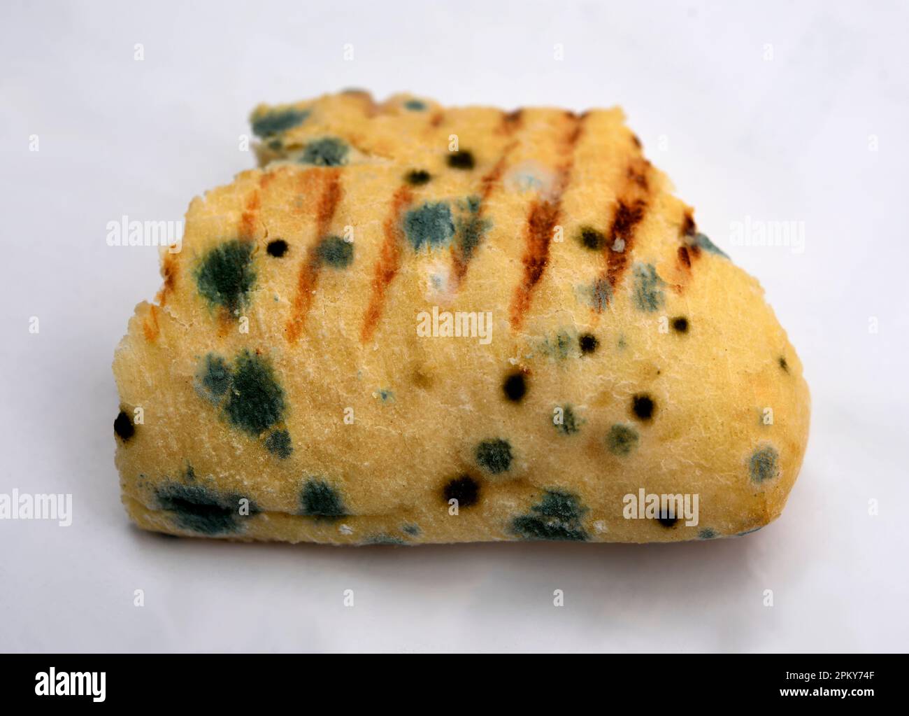 Bread mold Stock Photo