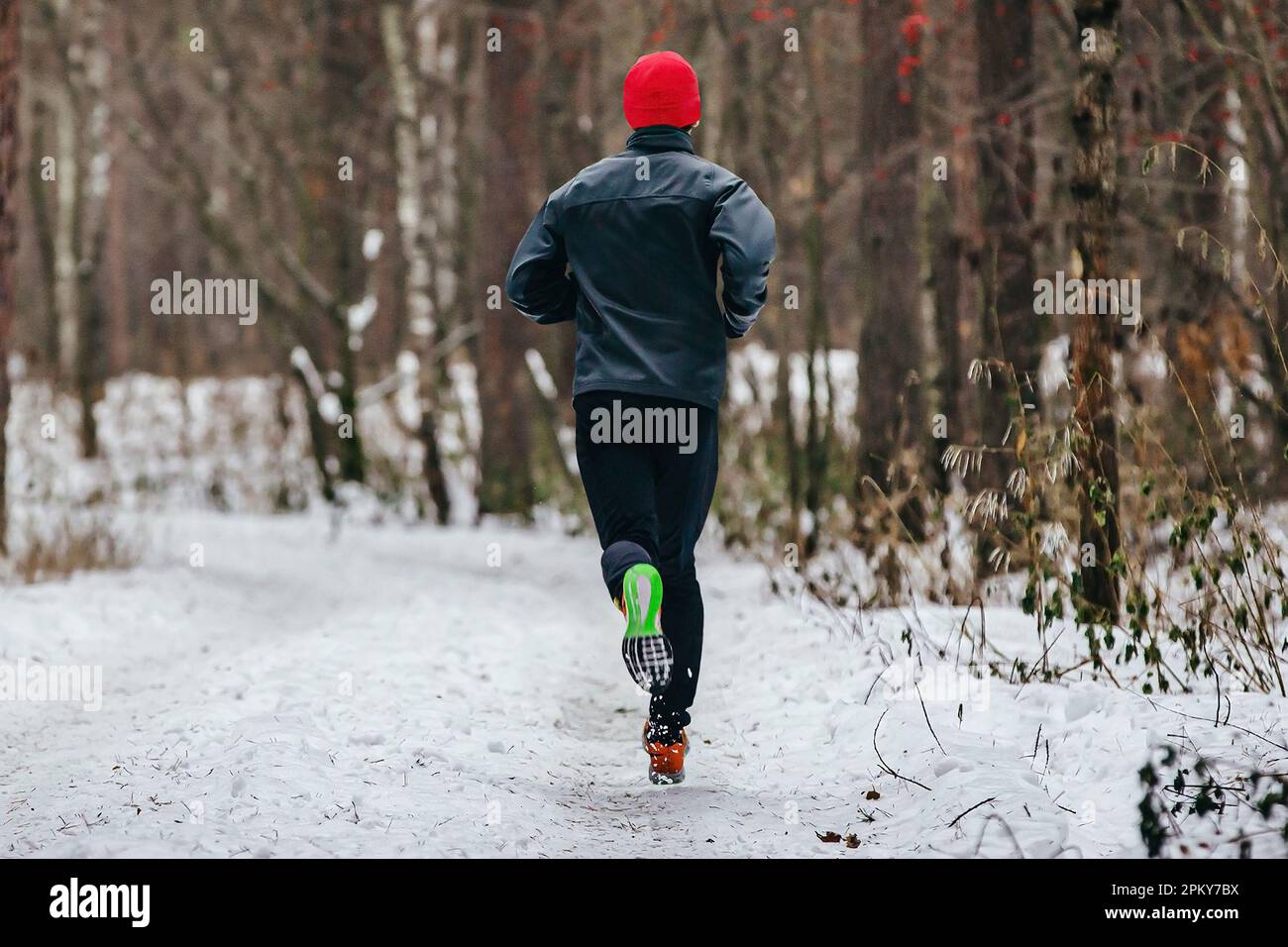 back male runner running trail marathon, man jogging snowy forest in winter clothes, cold weather Stock Photo