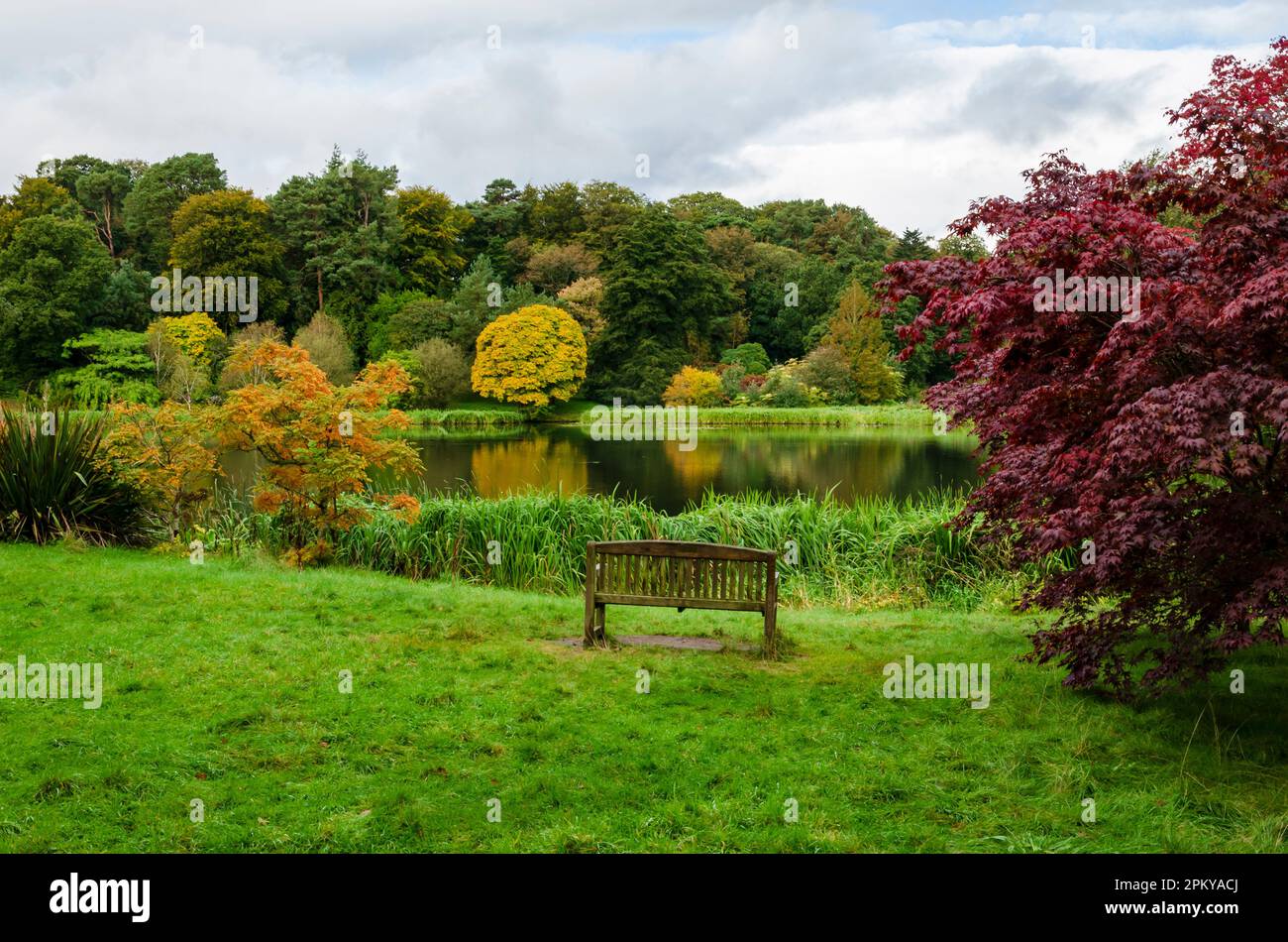 Bench beside a lake with colourful trees and cloudy sky Stock Photo