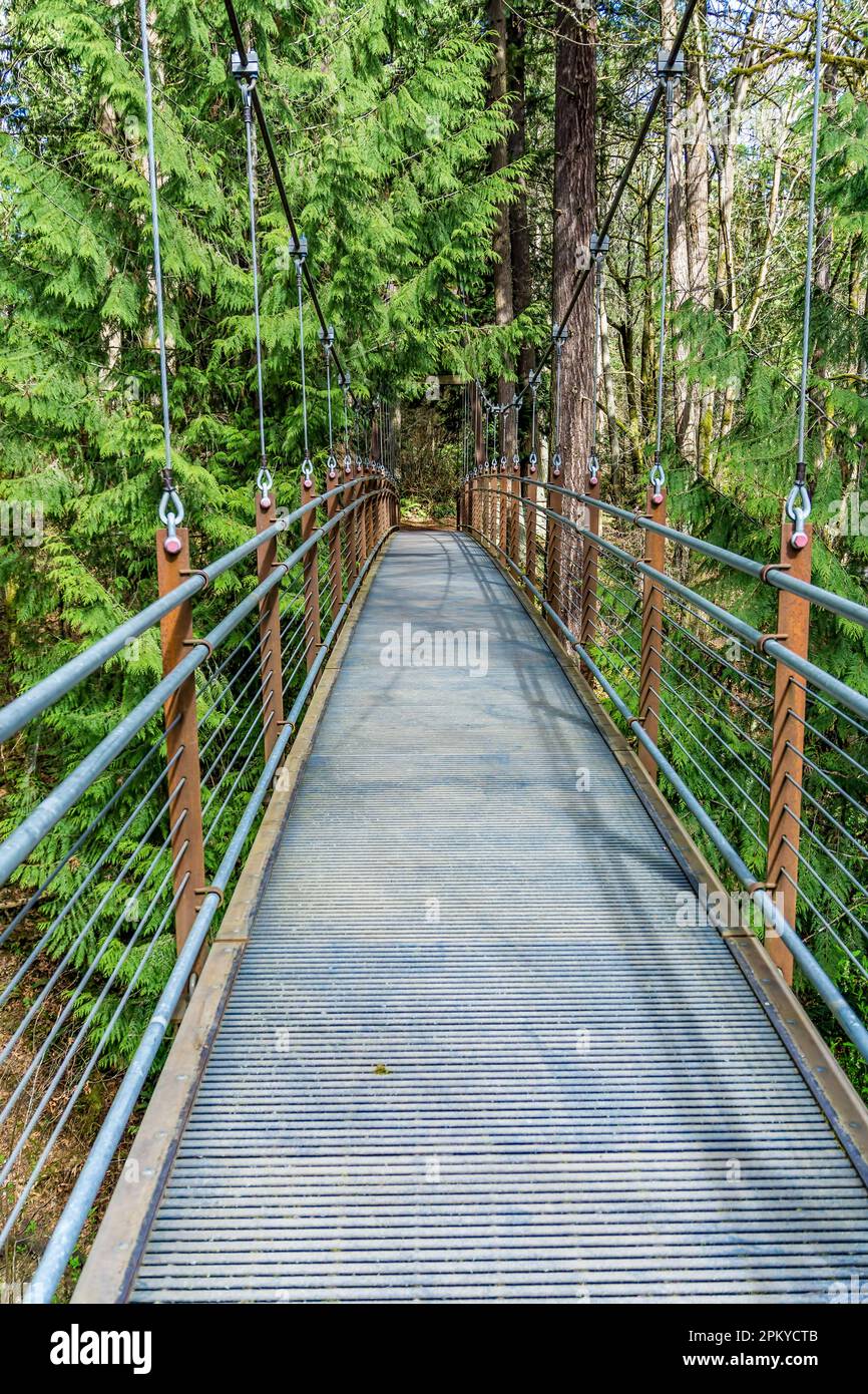 A view os a walking suspension brdige at  Bellevue Botanical Garden in Washington State. Stock Photo