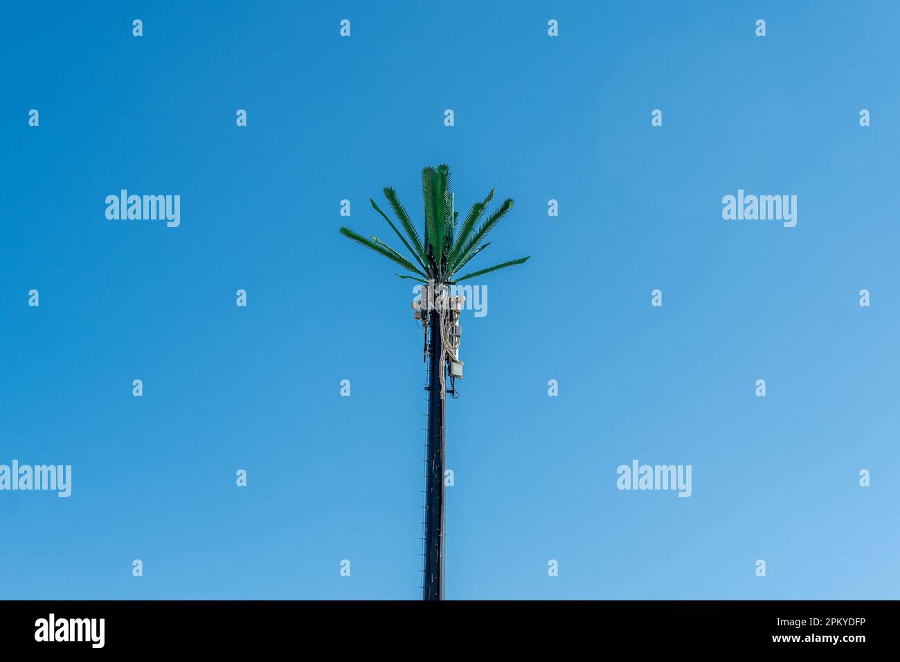 Cell phone tower in Egypt or cellular phone antenna disguised on fake palm tree. Stock Photo