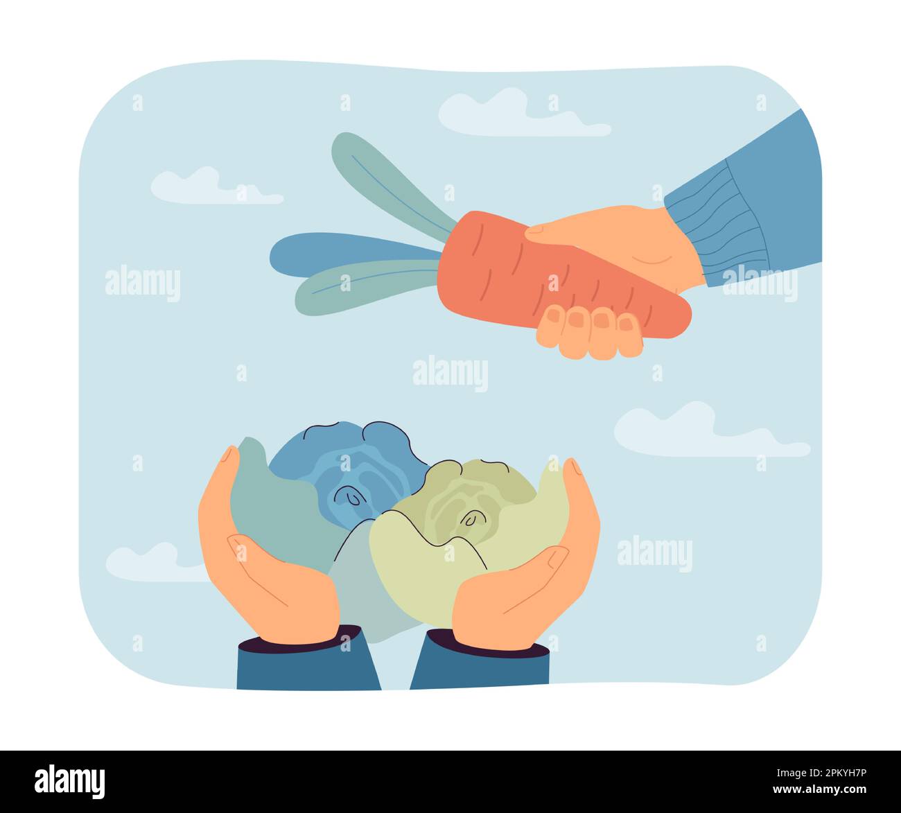 Hands of farmers holding cabbages and carrot Stock Vector