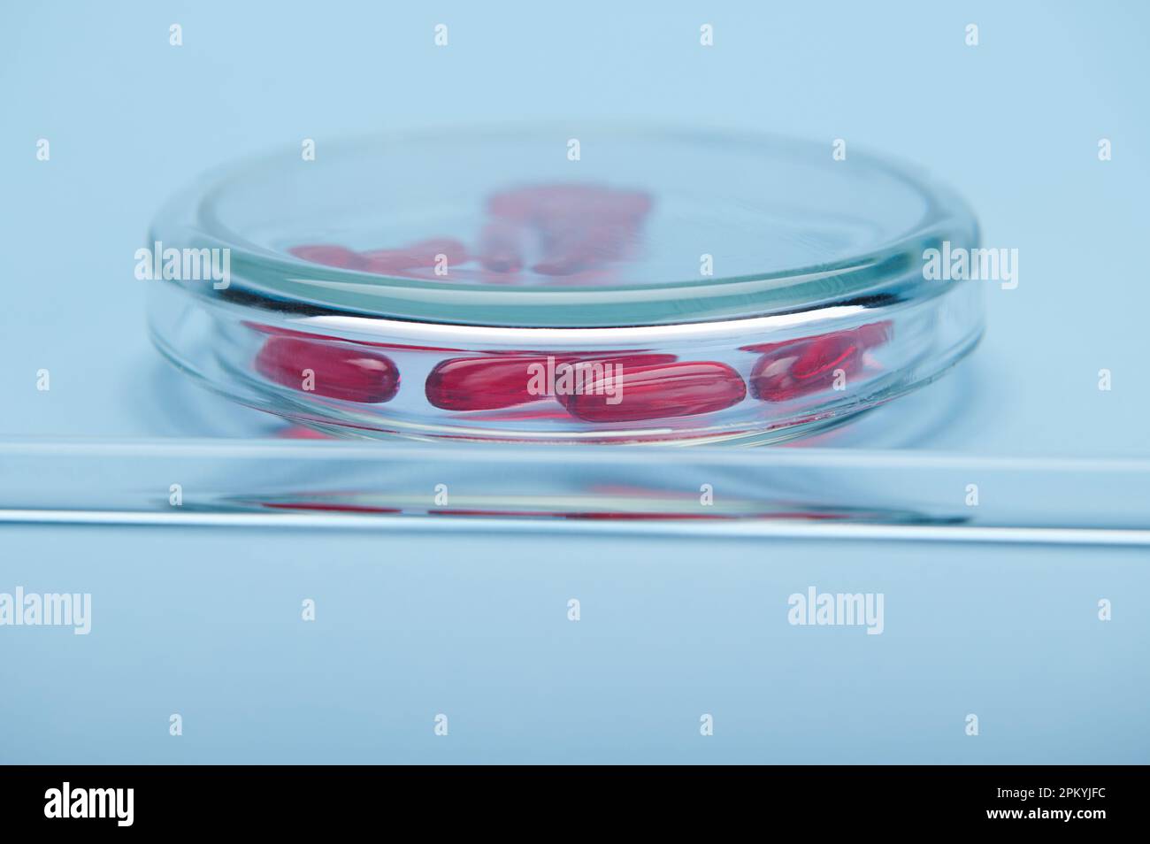 Red soft gelatin translucent capsules with fatsoluble vitamins or omega inside a petri dish