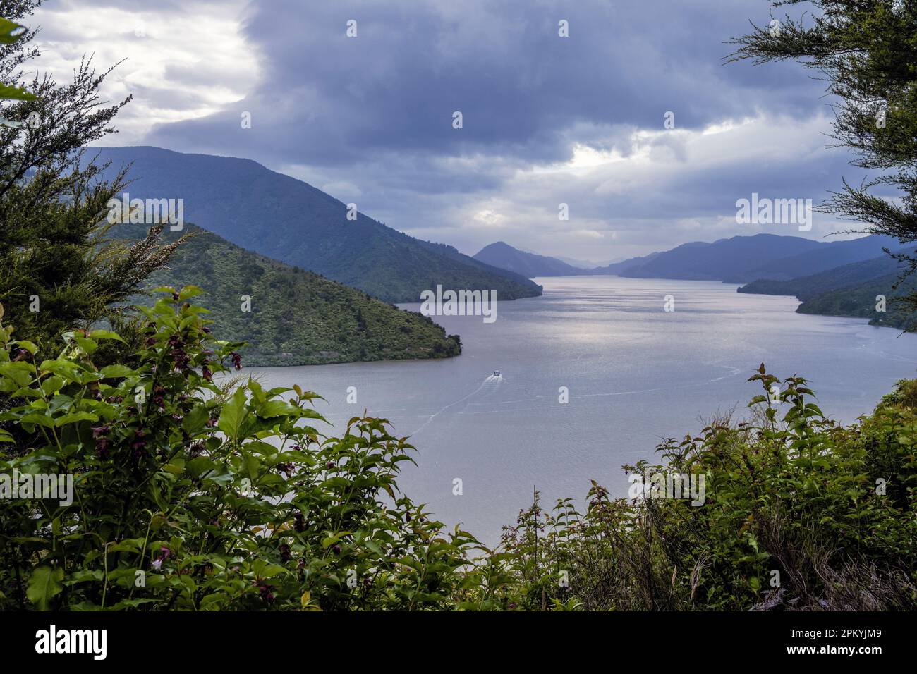 Pelorus Sound from the Mahaki Paoa lookout on Cullen Point, Marlborough Sounds, South Island, New Zealand Stock Photo