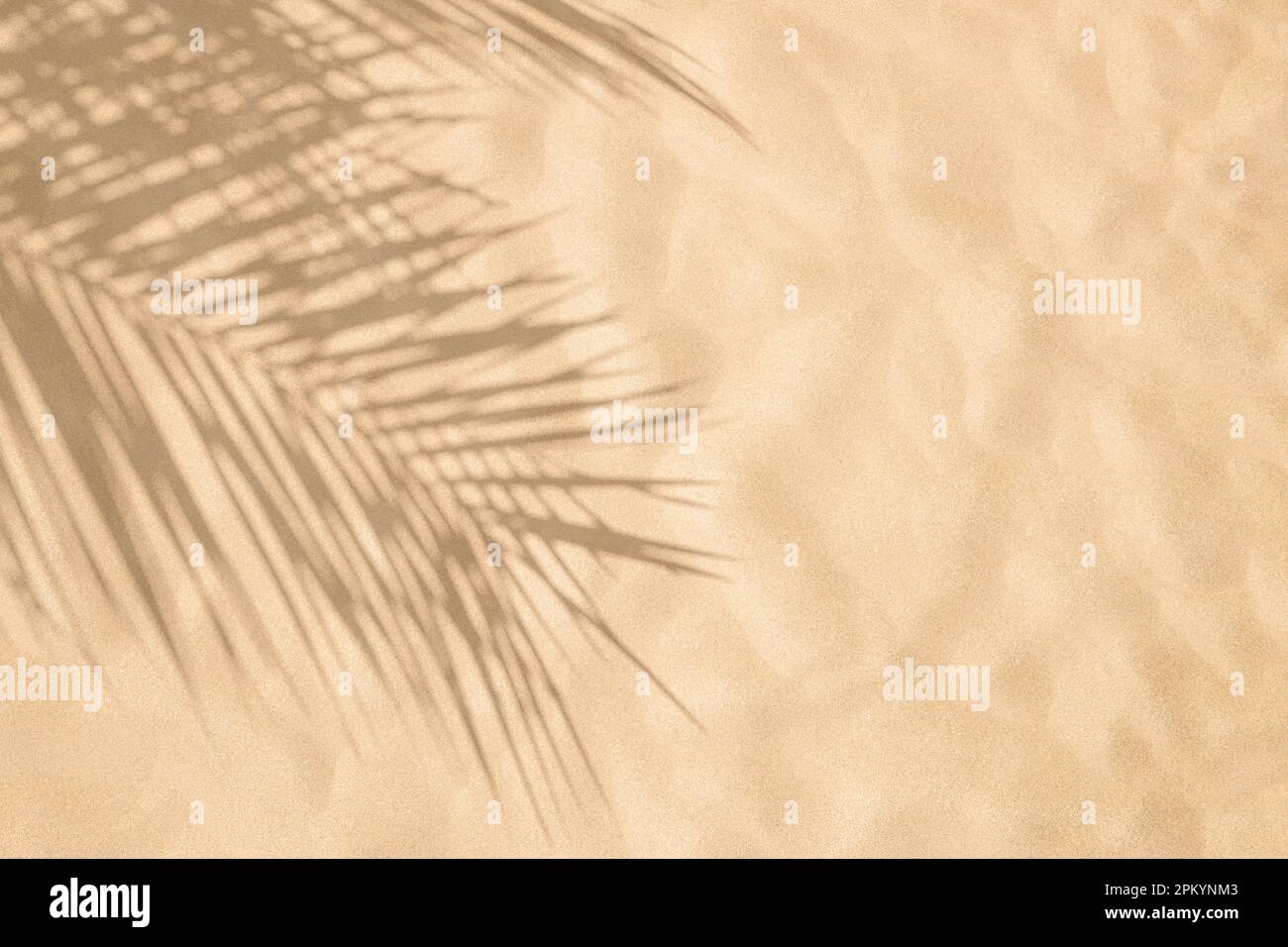 Palm tree sea beach hi-res stock photography and images - Alamy