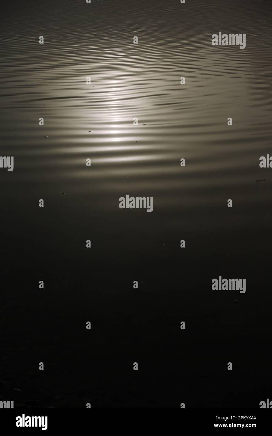 Black and white closeup water of lake with reflection of sunlight Stock ...